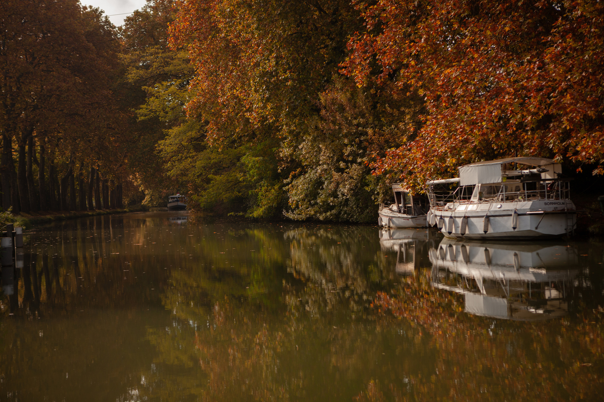 Family session at Toulouse by Canal du Midi. Евгения Смирнова — Ваш фотограф в Тулузе и на юго-западе Франции