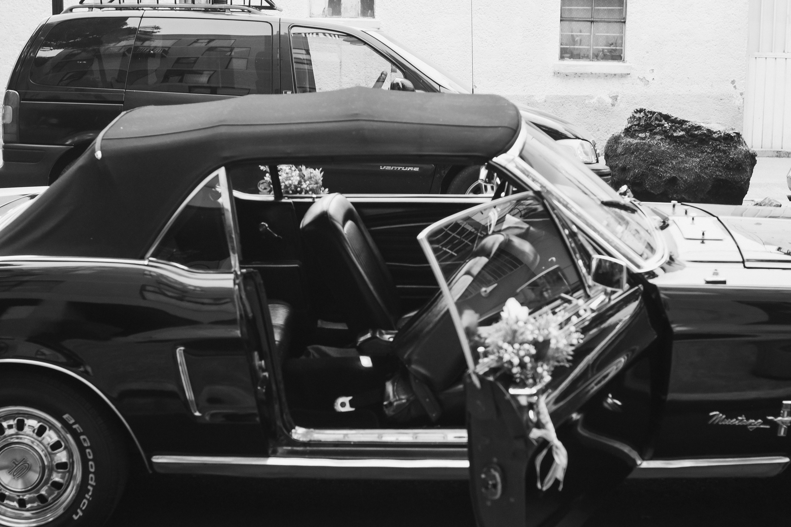 Vane y Sherwin. Wedding and family photographer in Mexico City