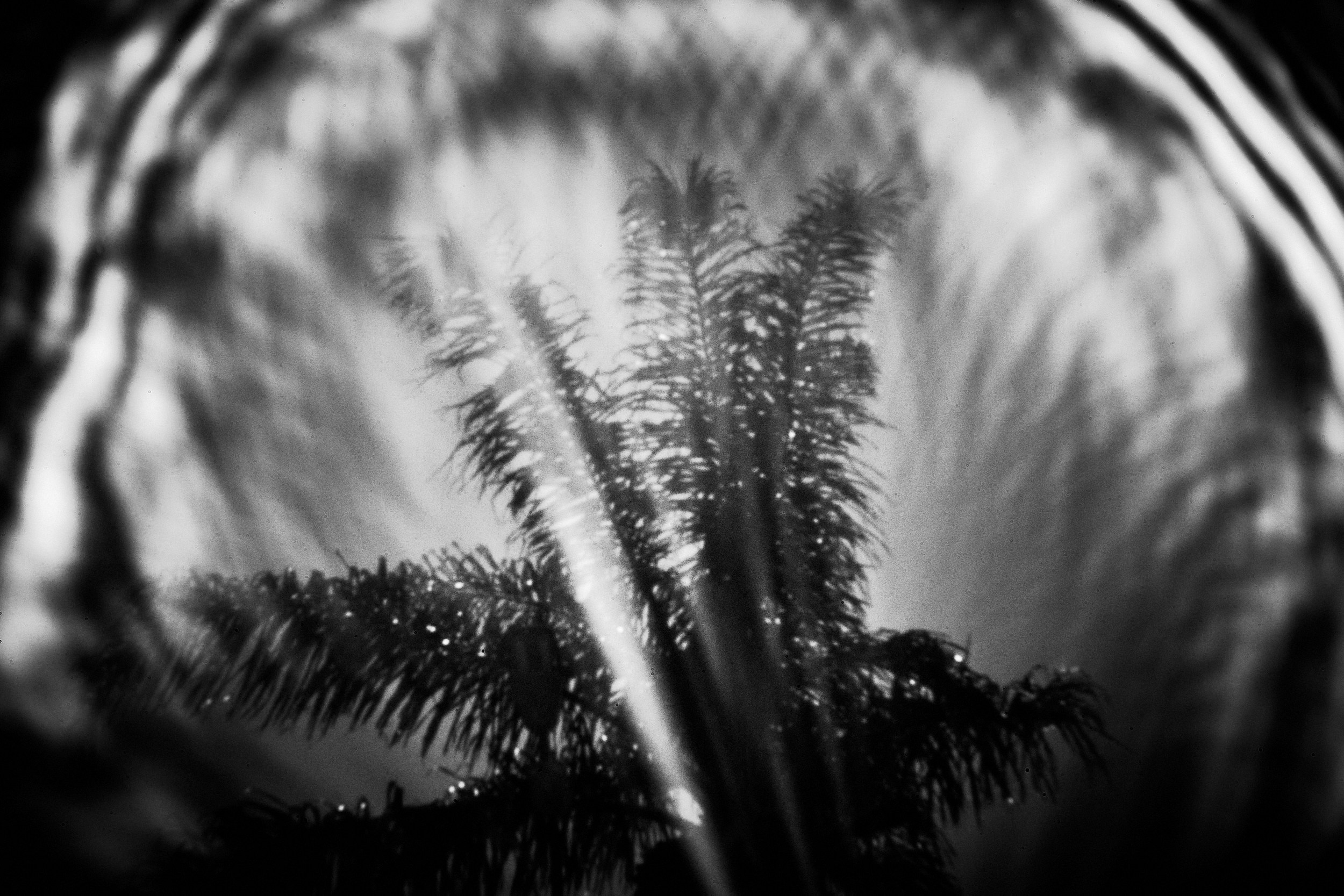 Entrance to the void-1. GLISH ART — Timofey Glinin & Anastasia Shubina