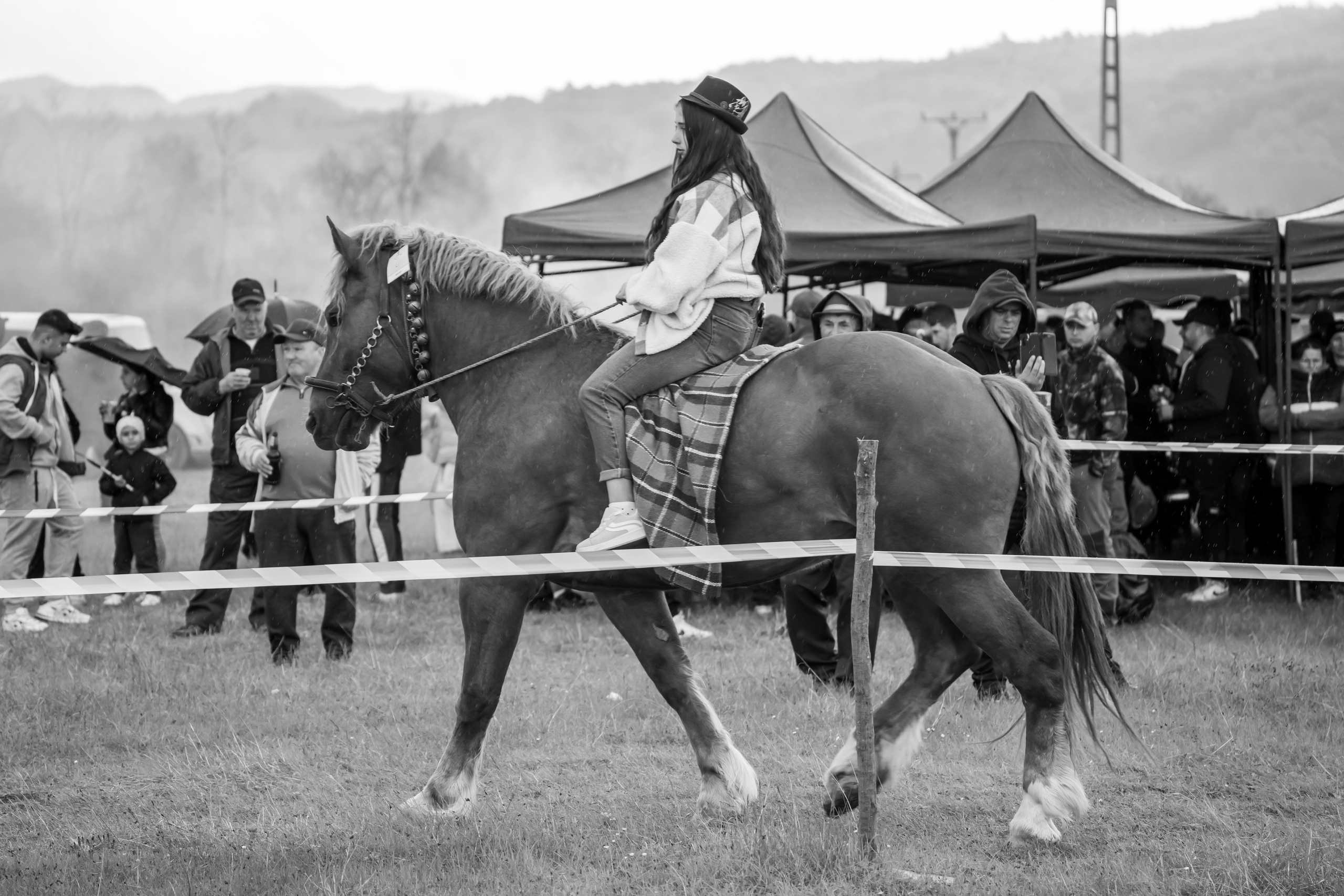 Concurs Ecvestru Vărbilău ediția a 4-a. Mihai Alexandra Events