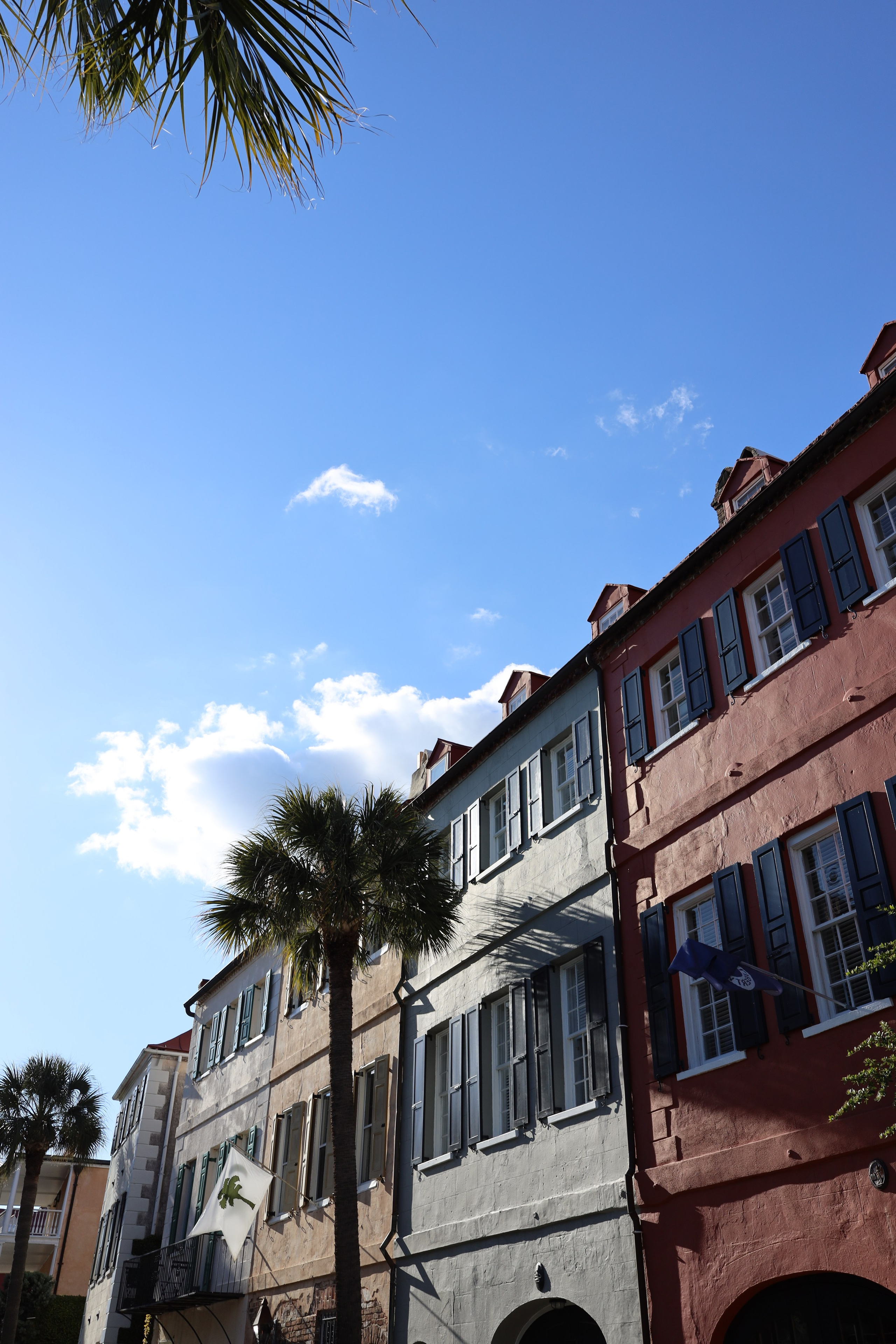 Colour. Sonny Photos