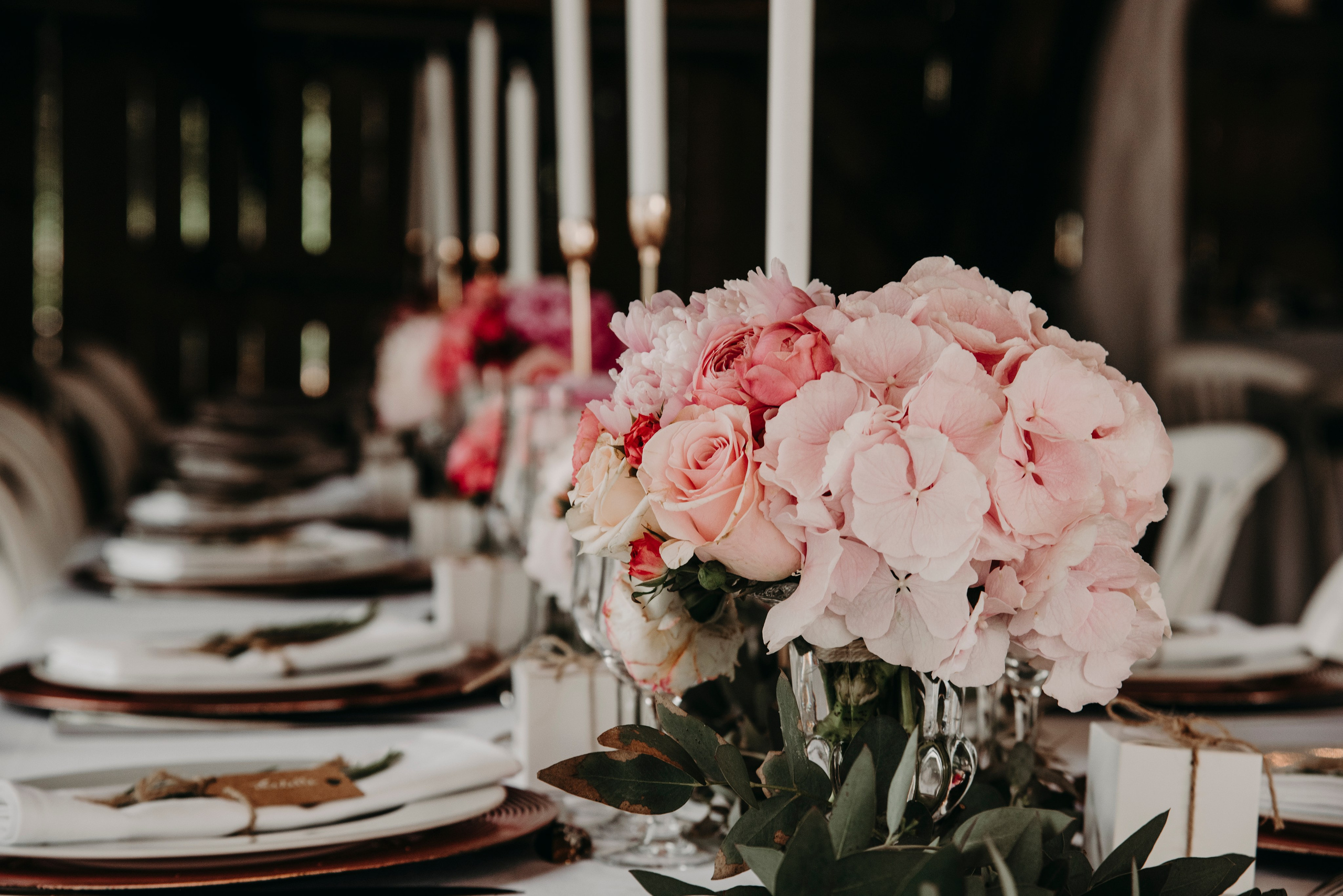Bruna et Richard. Photoshoot in France