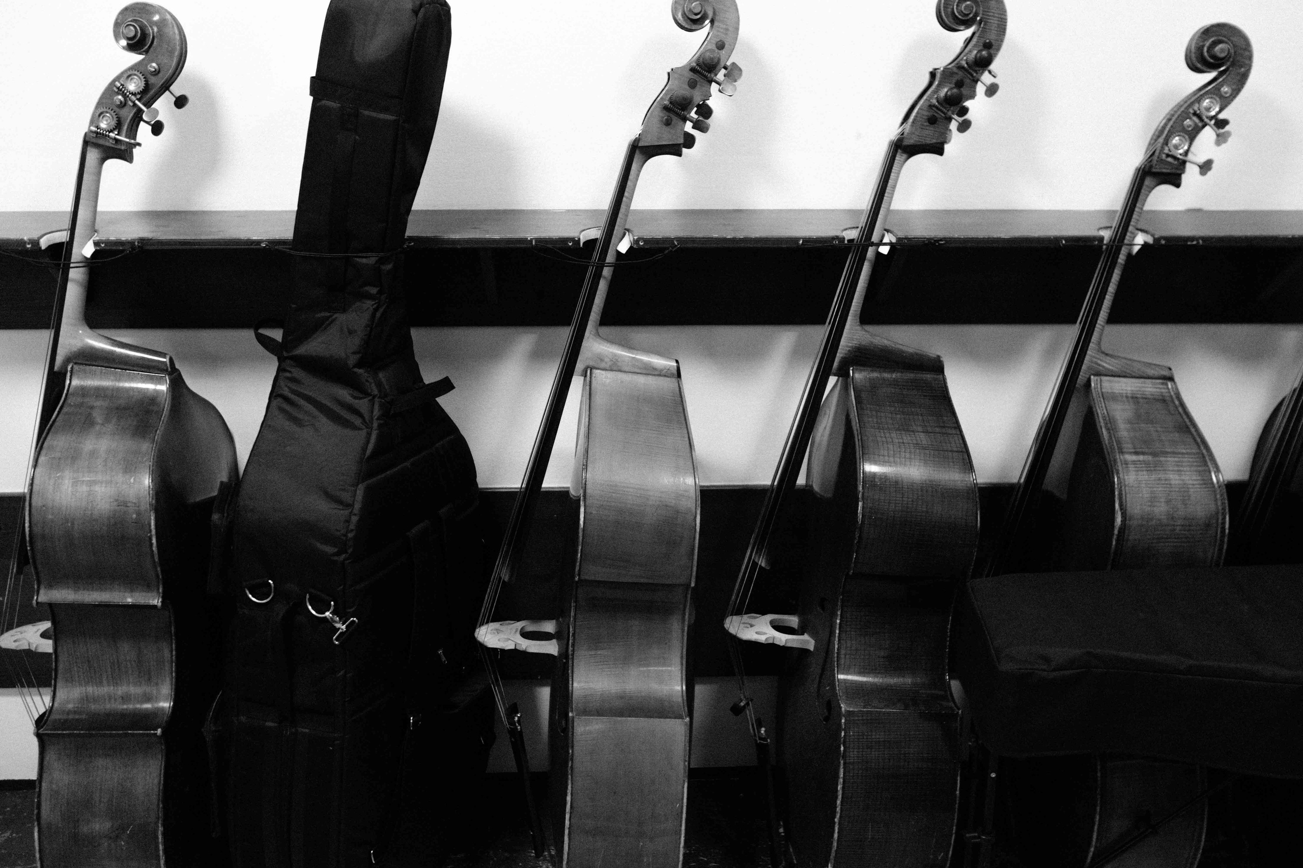 MUSIKVEREIN (VIENNA). Wedding&Event photographer Ismail Rzayev in Baku