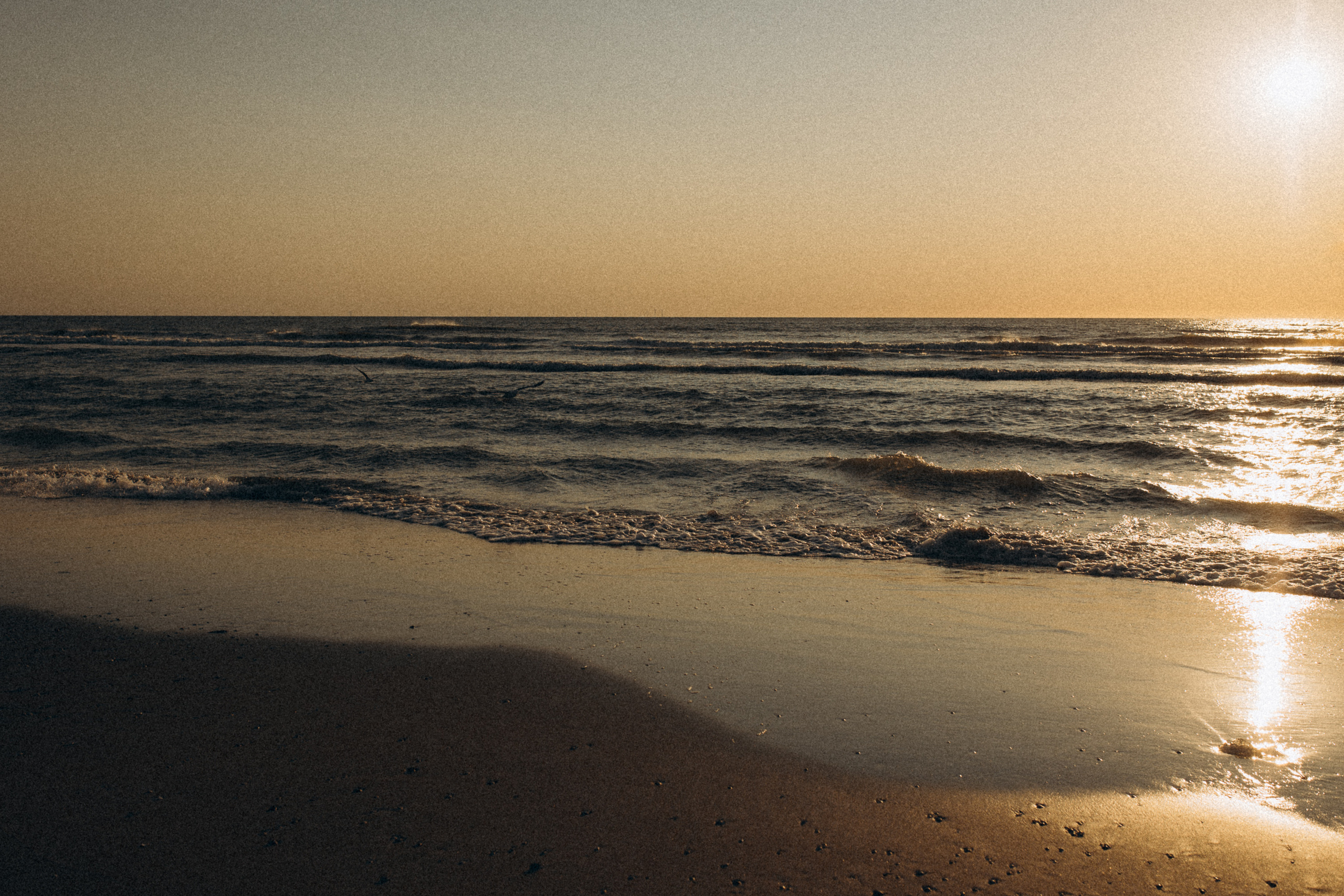 Natalie & Charlie Holland. Familien & Hochzeitfotografin Nadja Holzmann