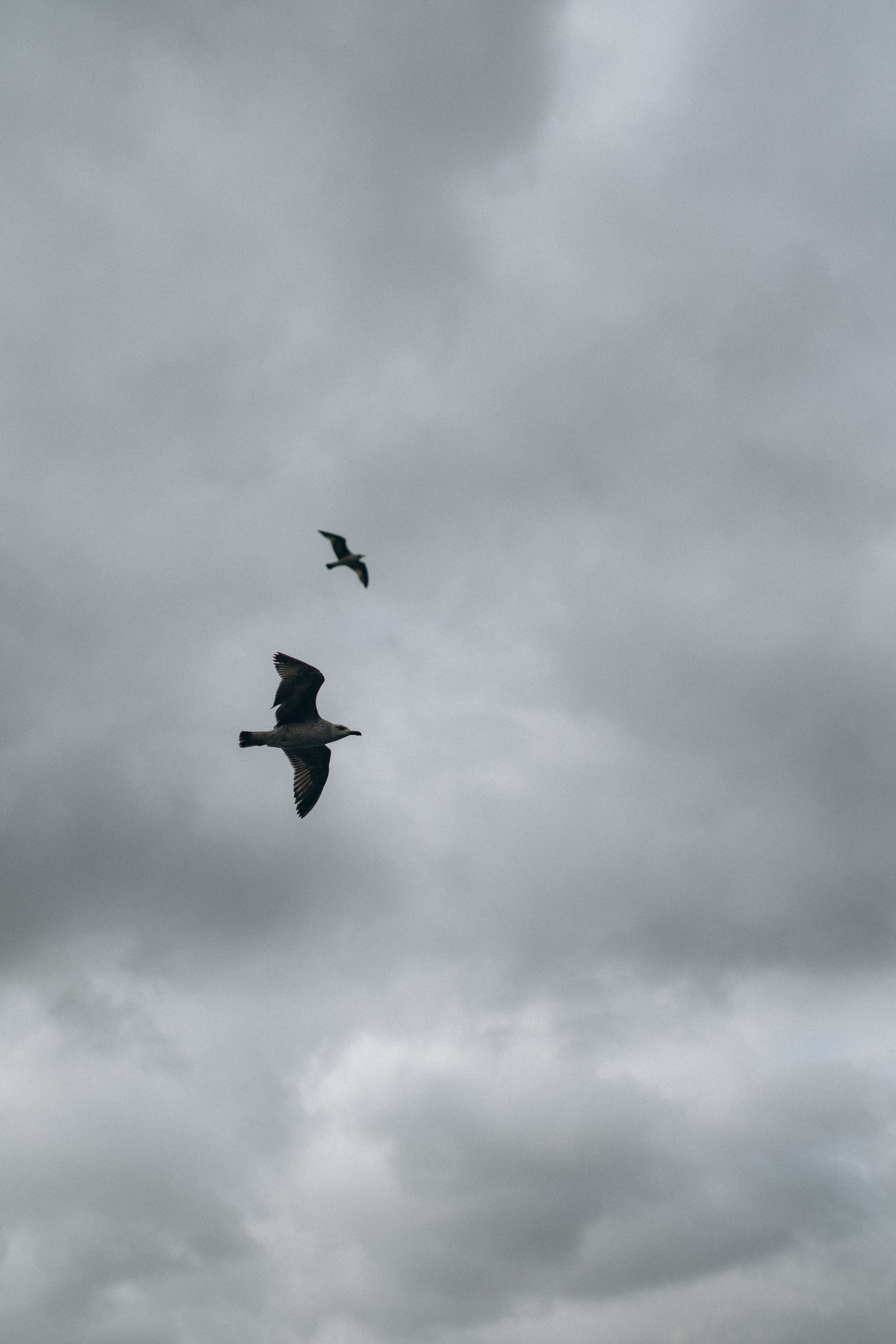 Tonya & Misha Istanbul. Familien & Hochzeitfotografin Nadja Holzmann