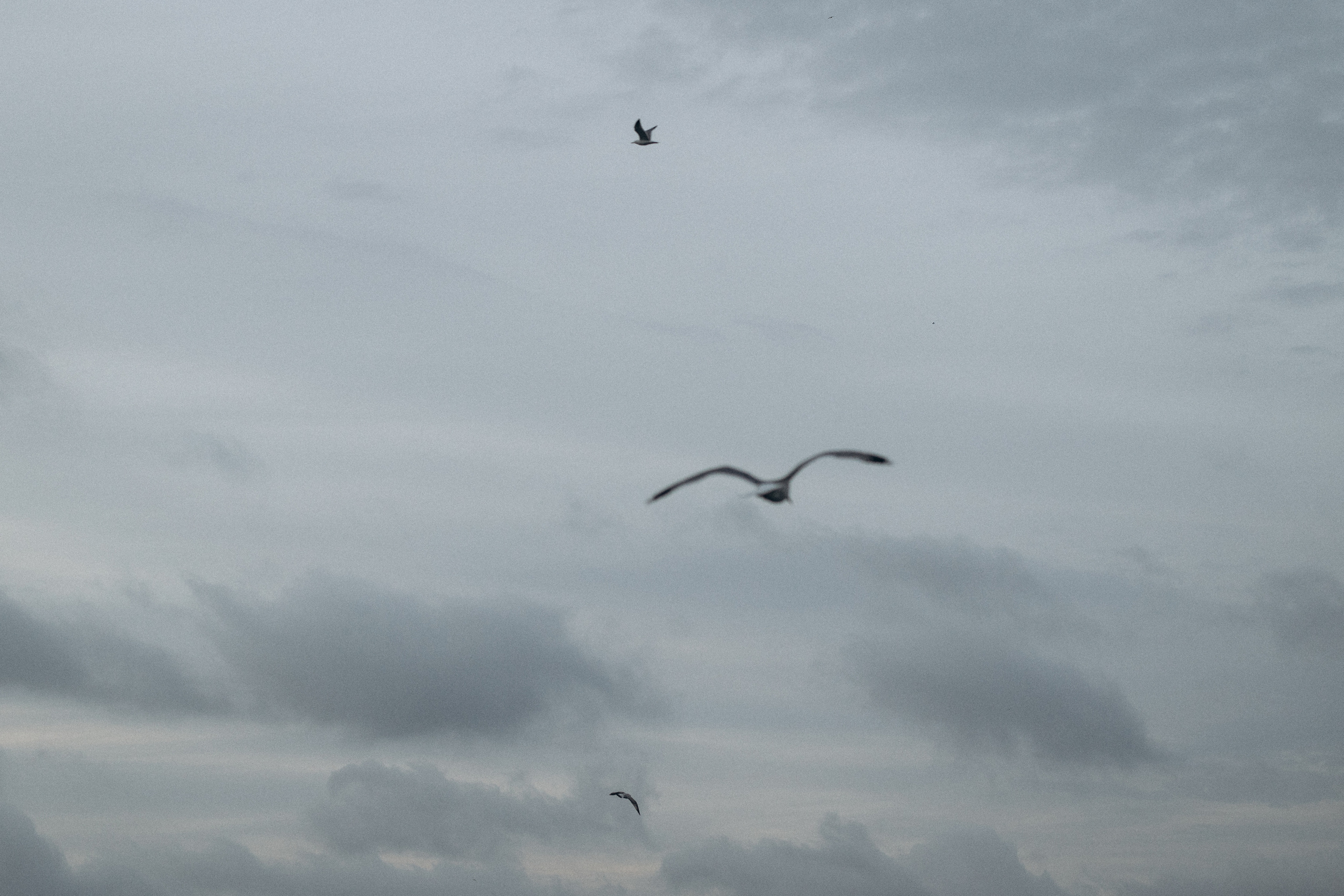 Tonya & Misha Istanbul. Familien & Hochzeitfotografin Nadja Holzmann
