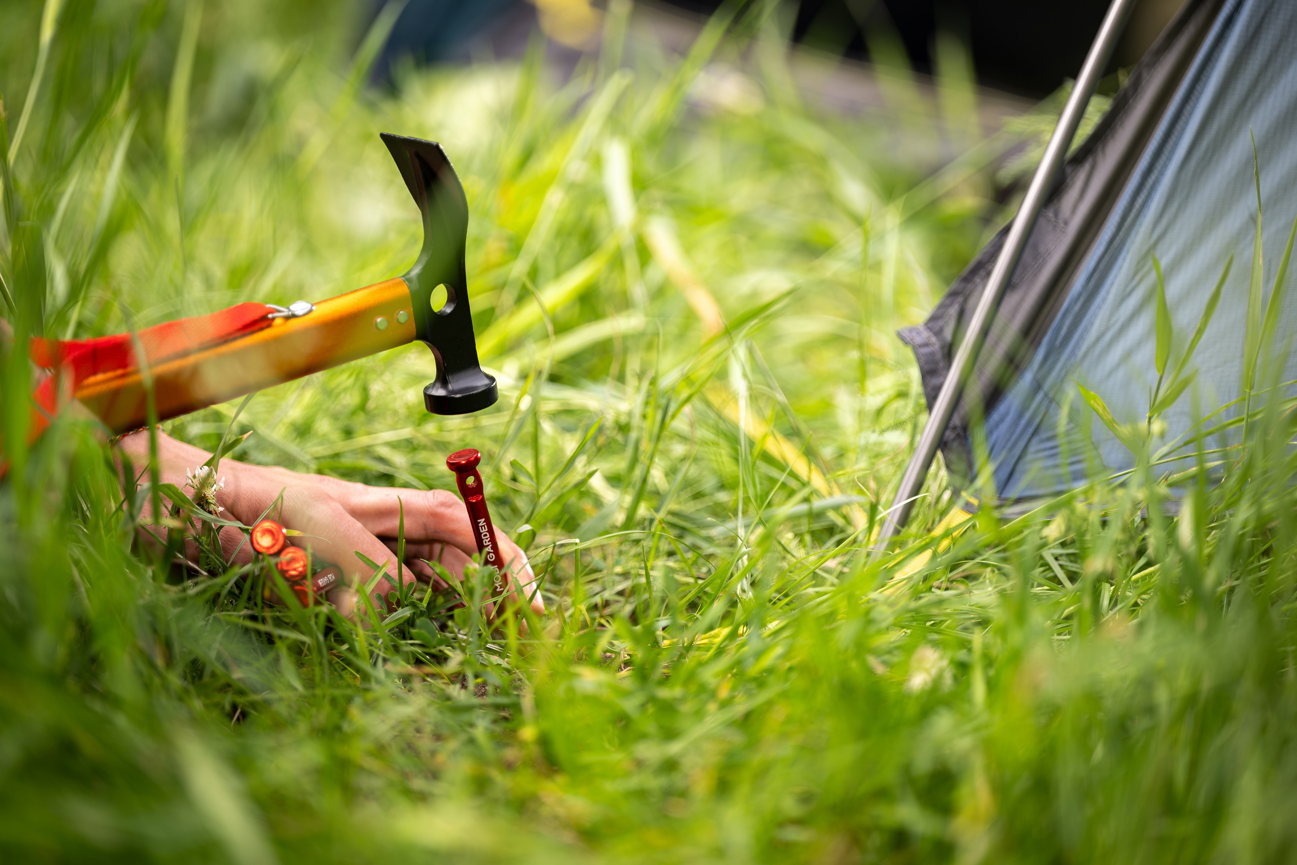 Контент. Фотографы Дарья и Дмитрий Арсентьевы