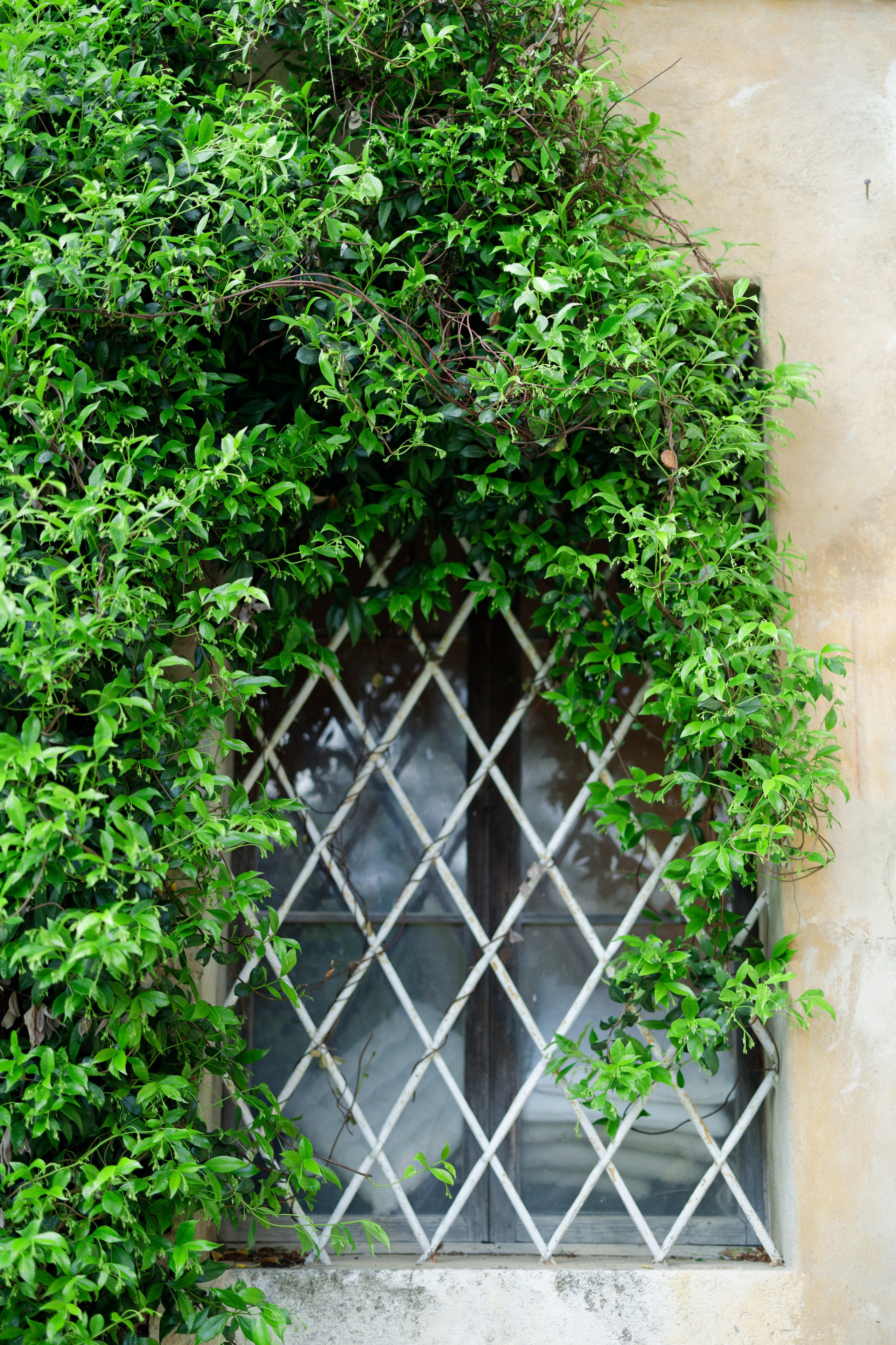 Wedding editorial at Villa di Geggiano, Tuscany, Italy