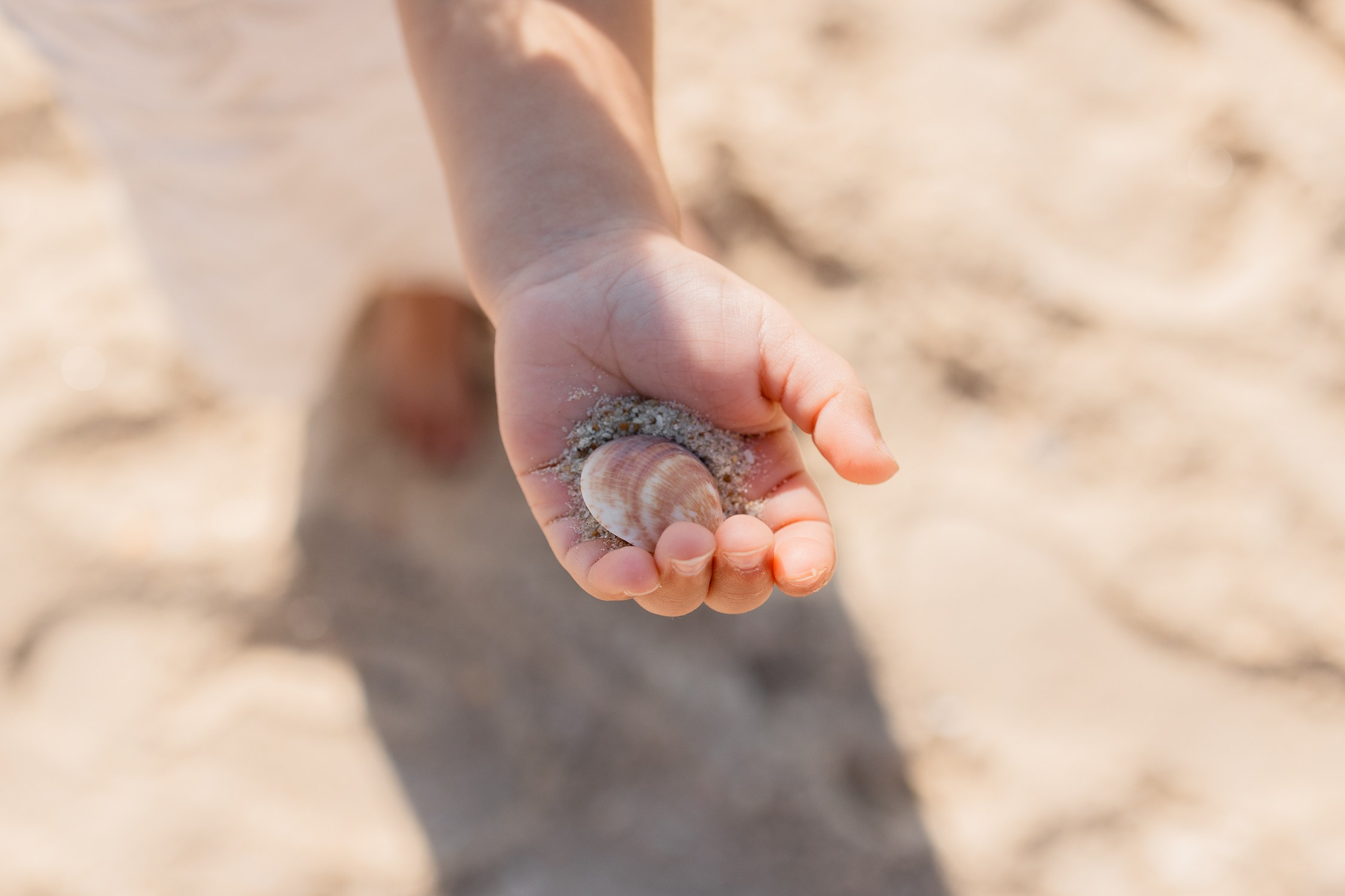 הריון & משפחה בחוף ים. דף בית