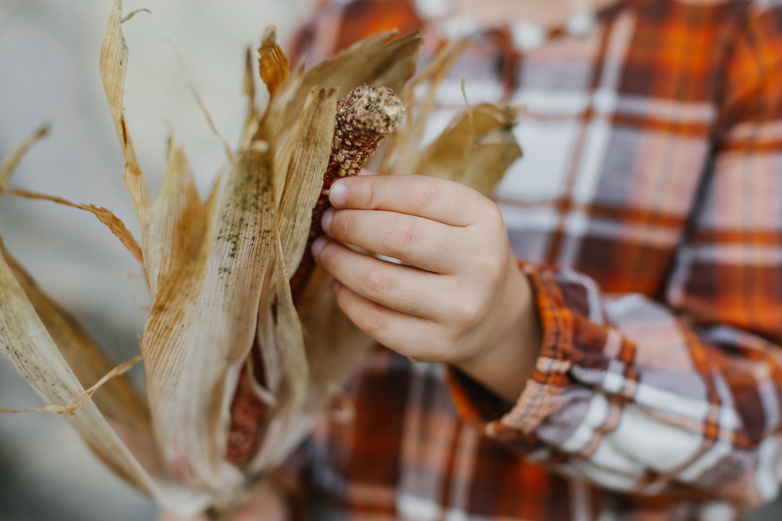 10.05.25 Family Photoshoot. Wedding family event photographer in Chicago Nick Yushevich