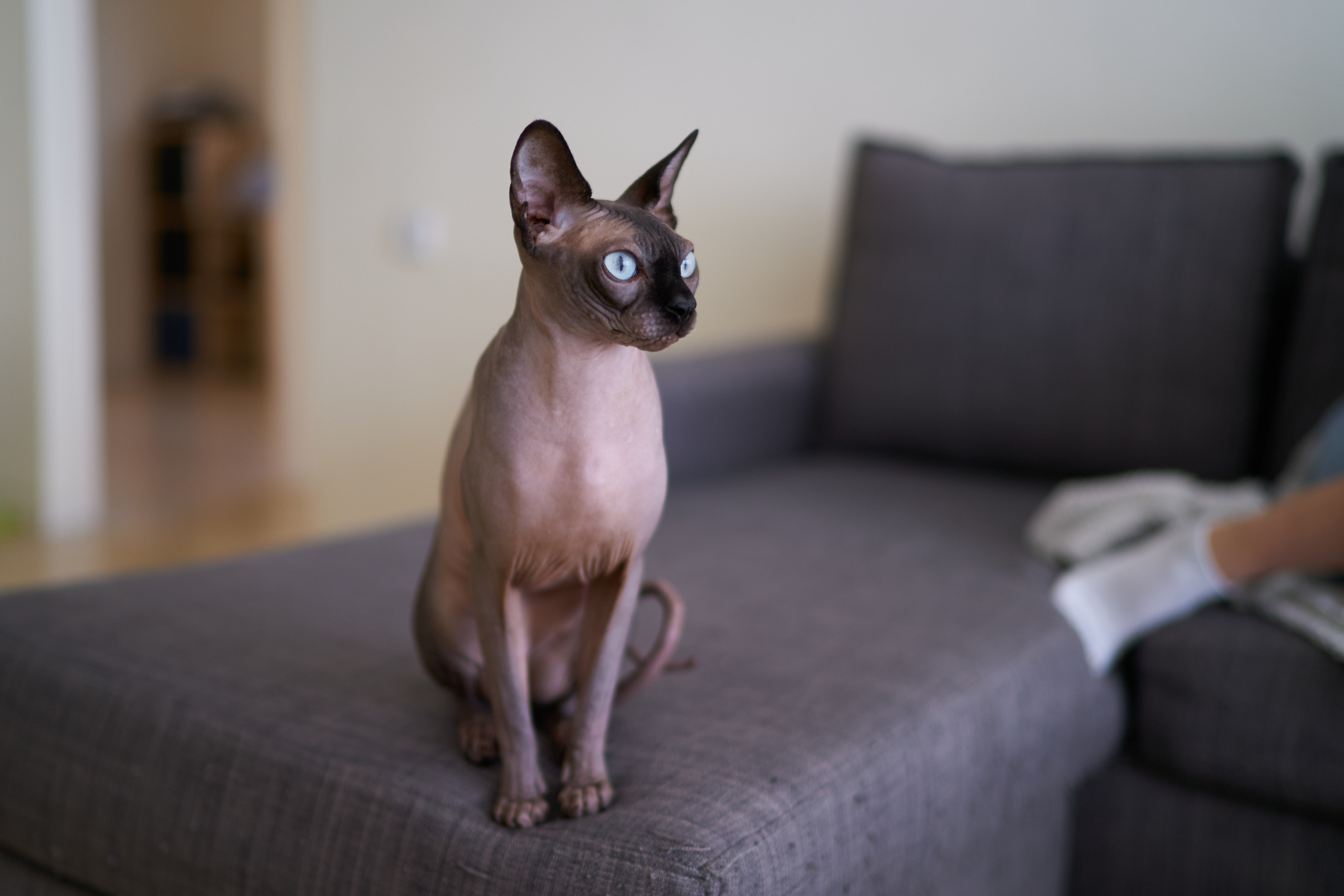 Julia&Valeriy Home Photo Shoot Series. צלם אלכס ברט בישראל