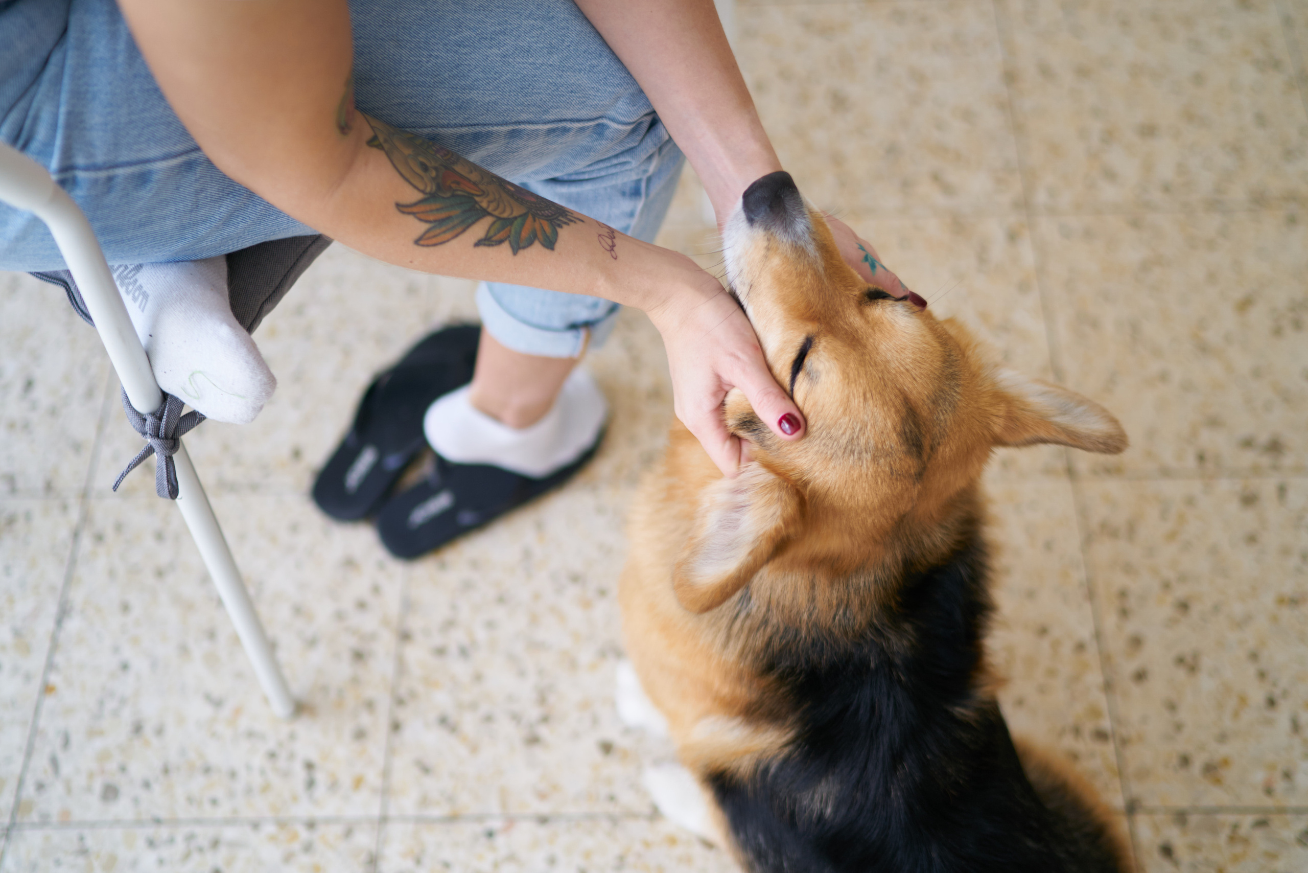 Julia&Valeriy Home Photo Shoot Series. צלם אלכס ברט בישראל