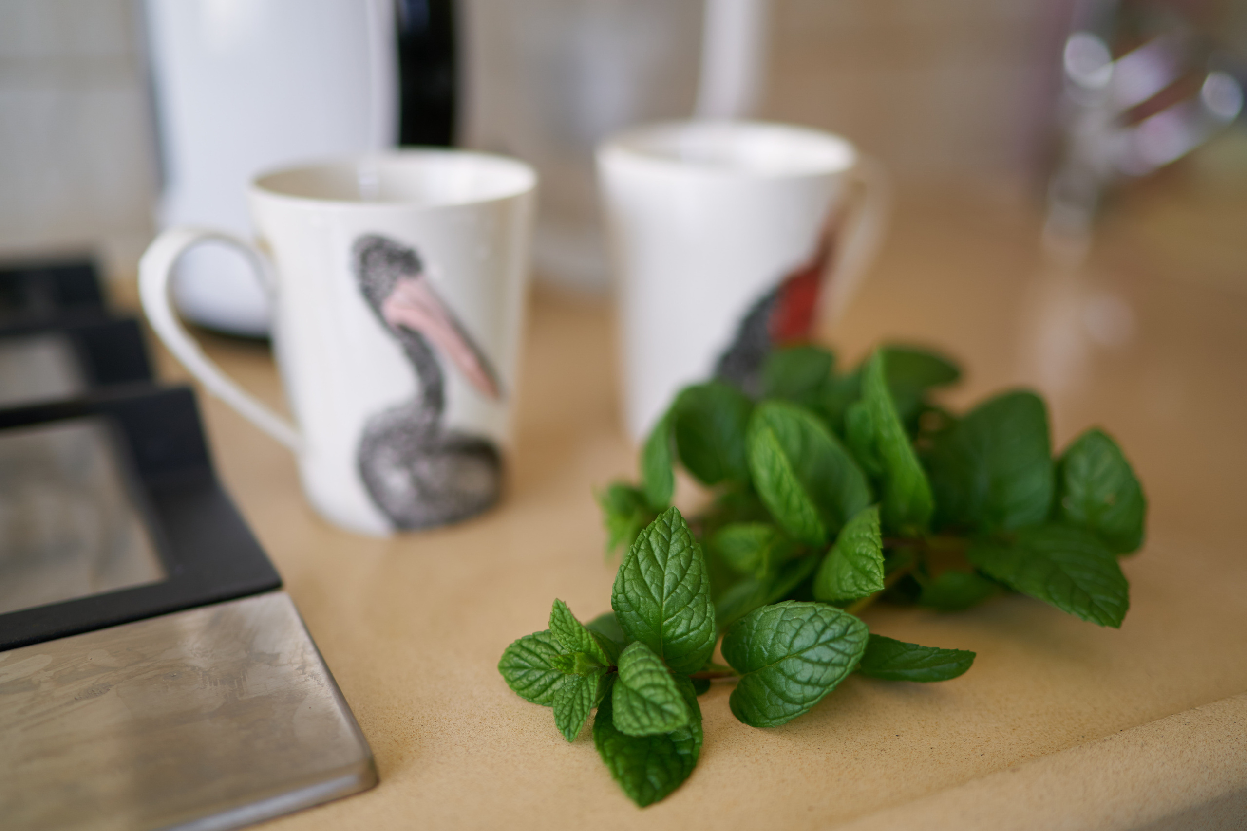 Julia&Valeriy Home Photo Shoot Series. צלם אלכס ברט בישראל