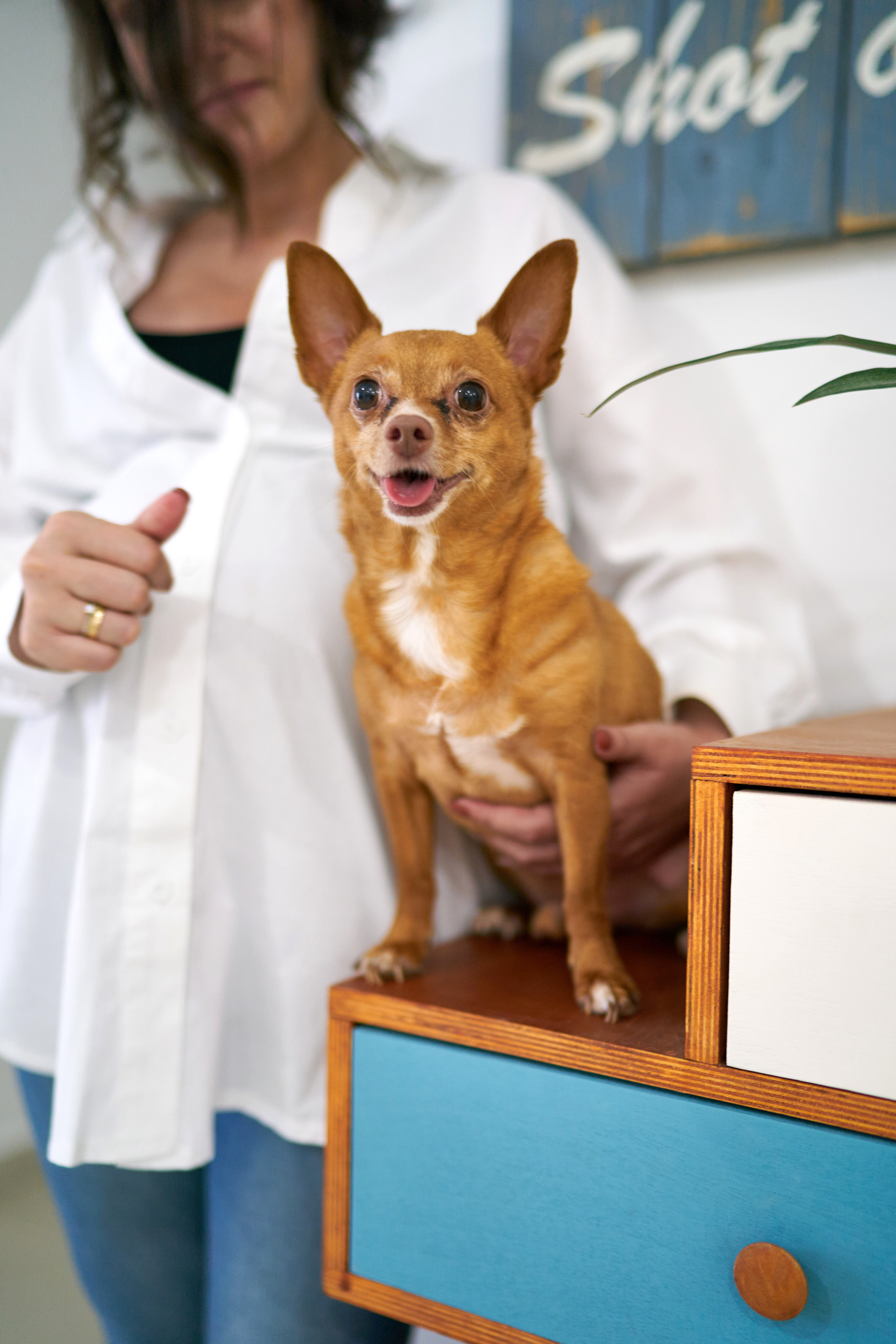 Danit&Adi Series. צלם אלכס ברט בישראל