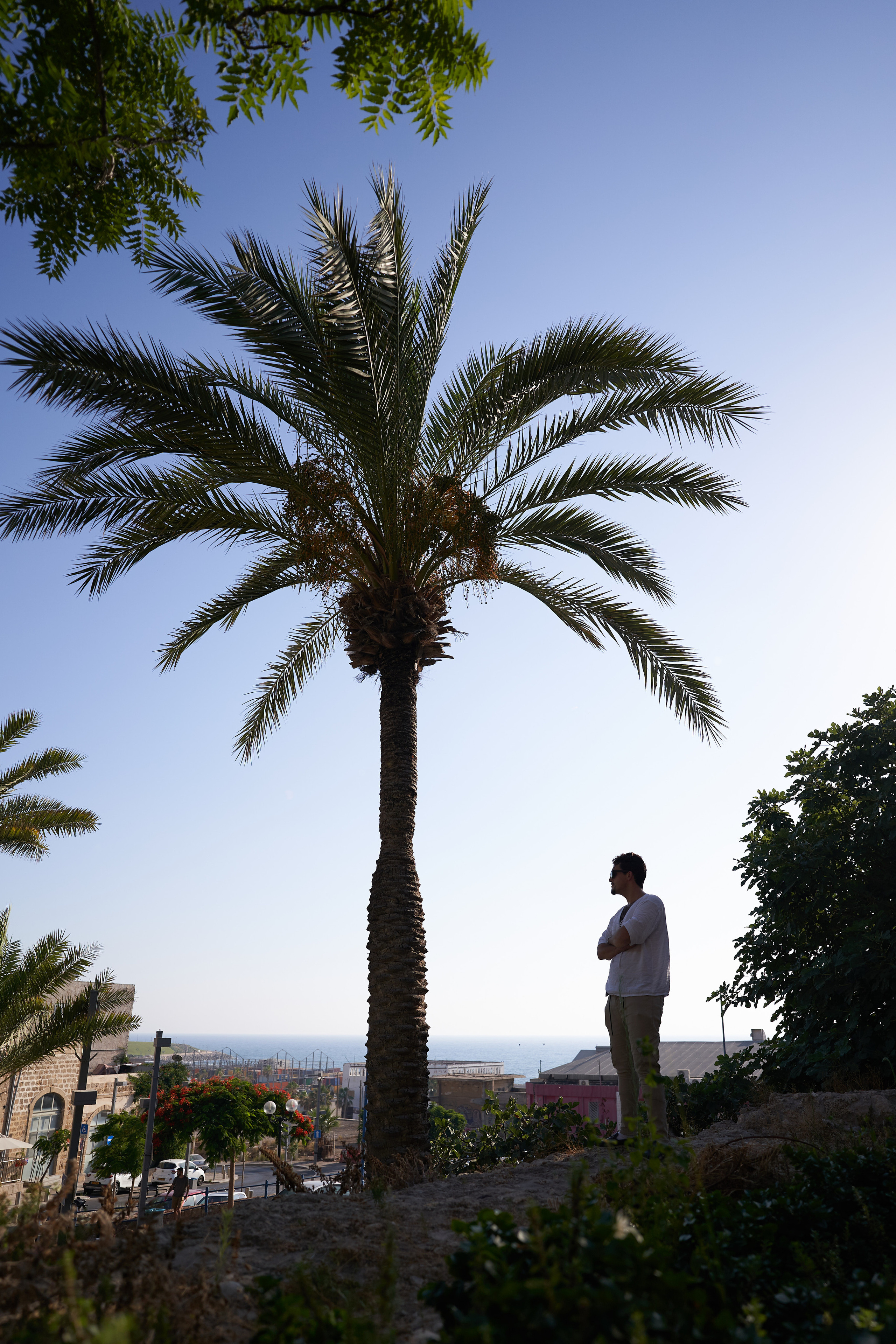 Stas Tel-Aviv Series. צלם אלכס ברט בישראל