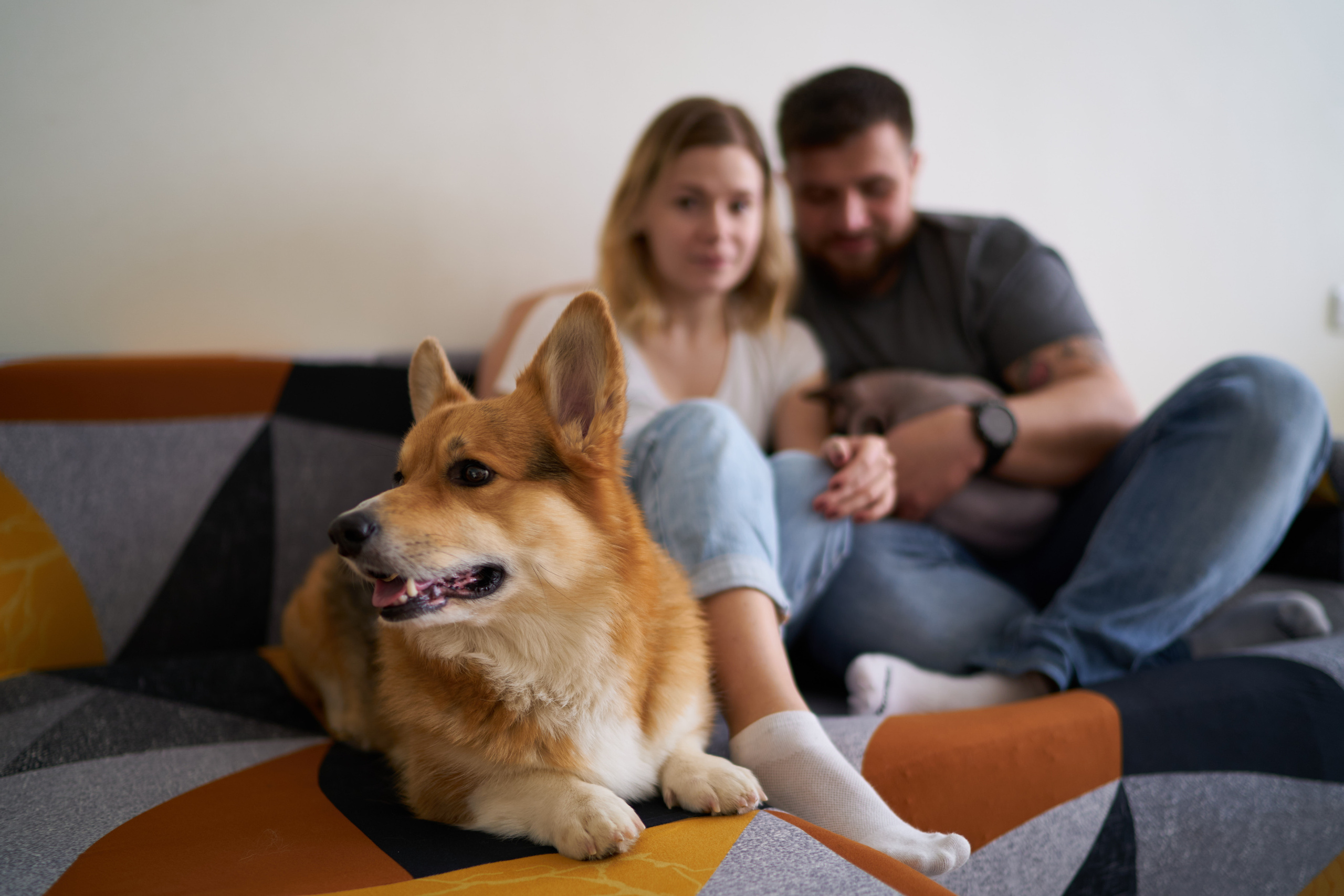 Julia&Valeriy Home Photo Shoot Series. צלם אלכס ברט בישראל