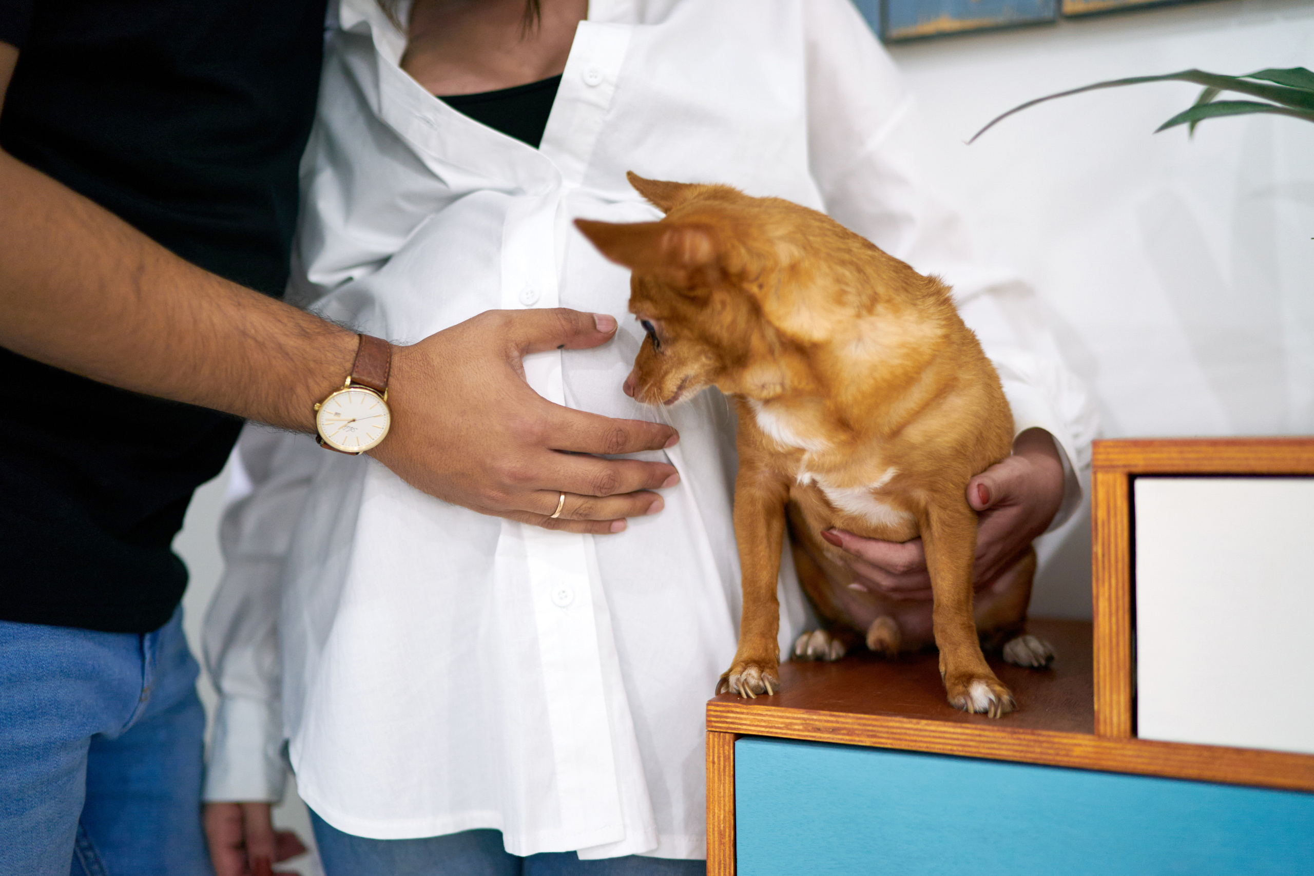 Danit&Adi Series. צלם אלכס ברט בישראל