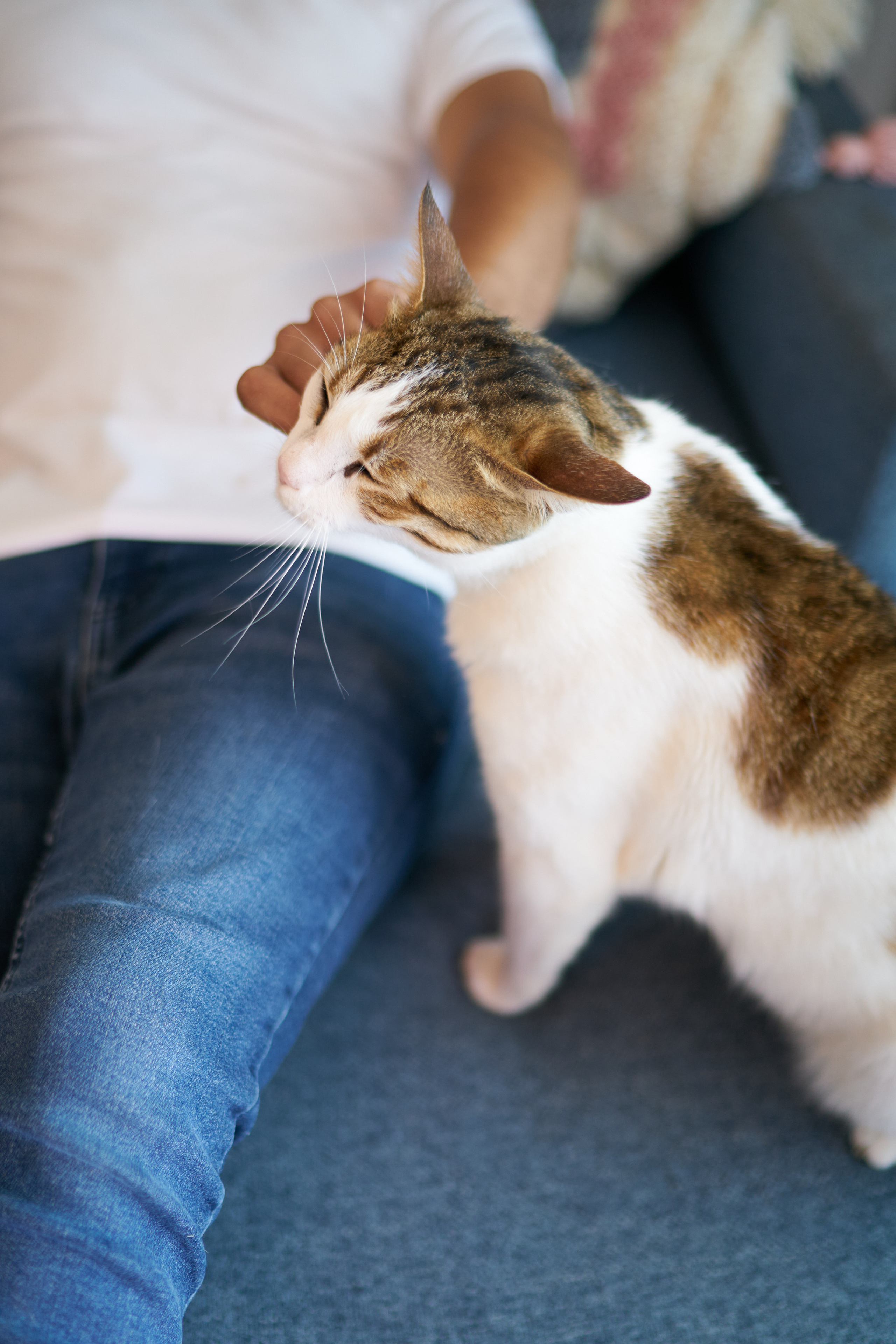 Danit&Adi Series. צלם אלכס ברט בישראל