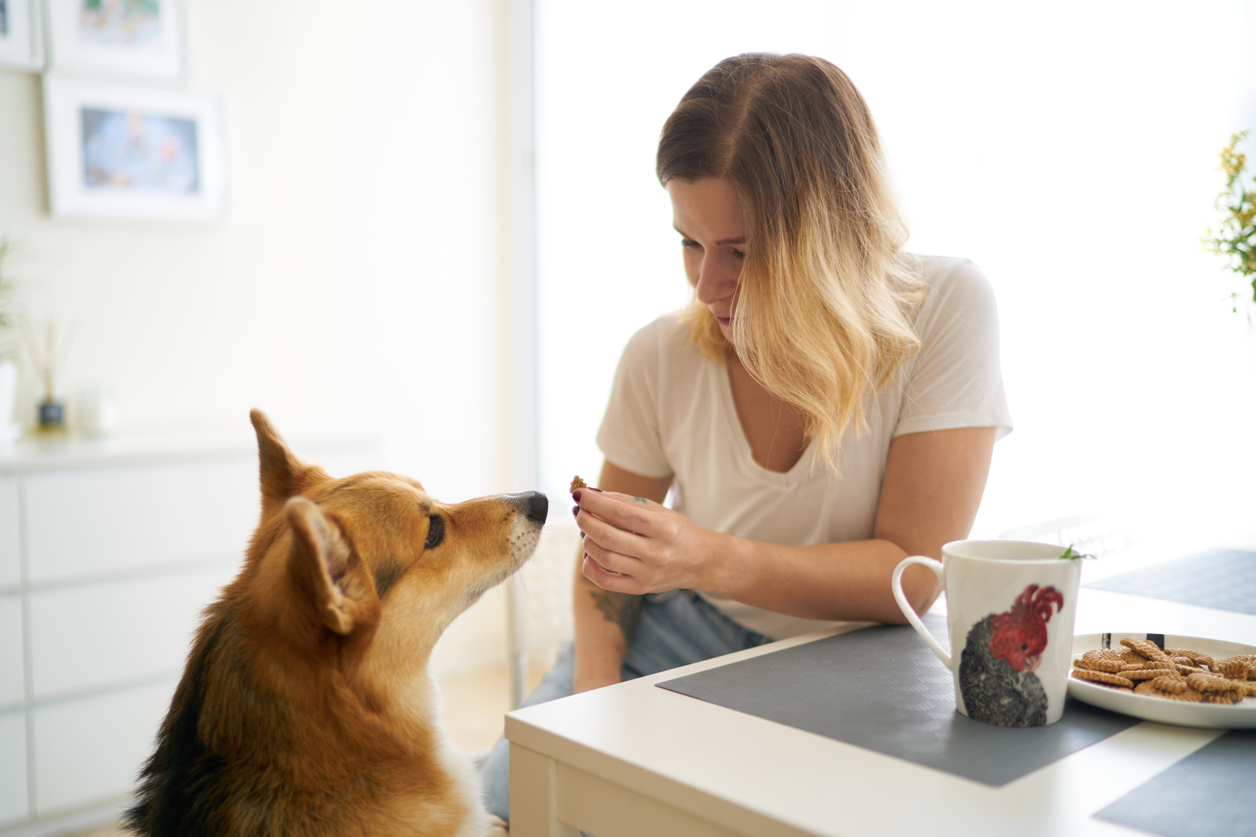 Julia&Valeriy Home Photo Shoot Series. צלם אלכס ברט בישראל