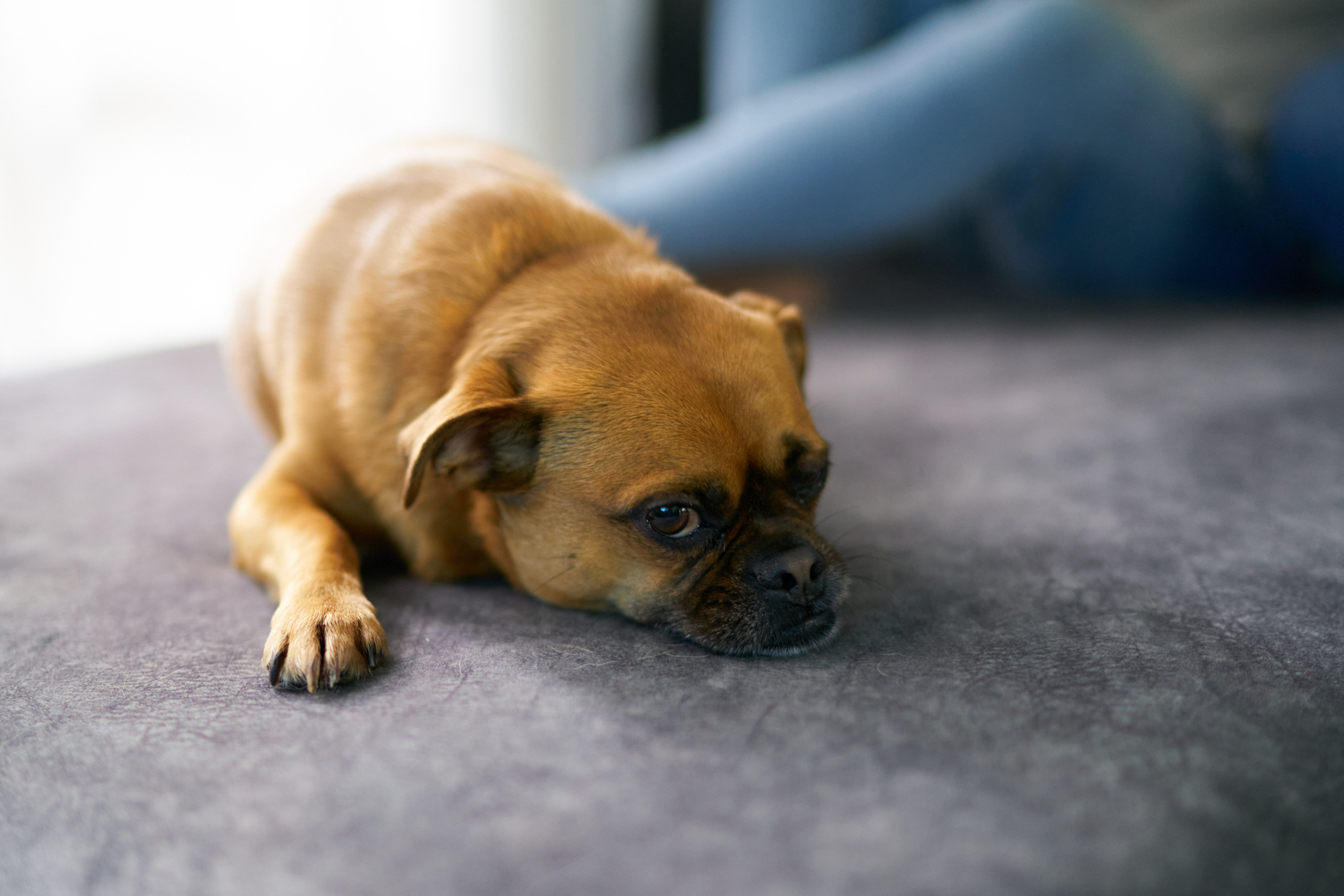 Aron, Gila and Rani Series. צלם אלכס ברט בישראל