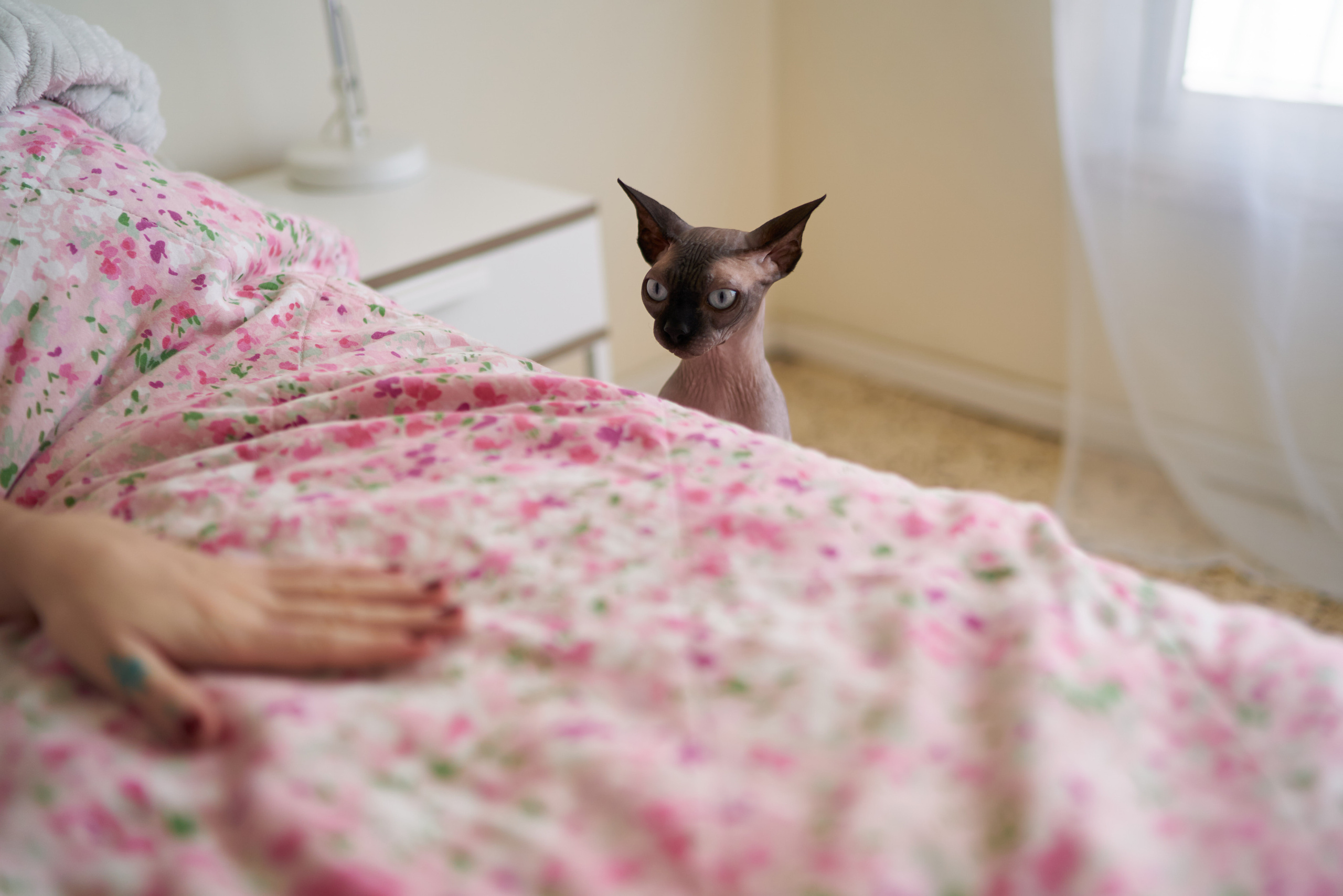 Julia&Valeriy Home Photo Shoot Series. צלם אלכס ברט בישראל