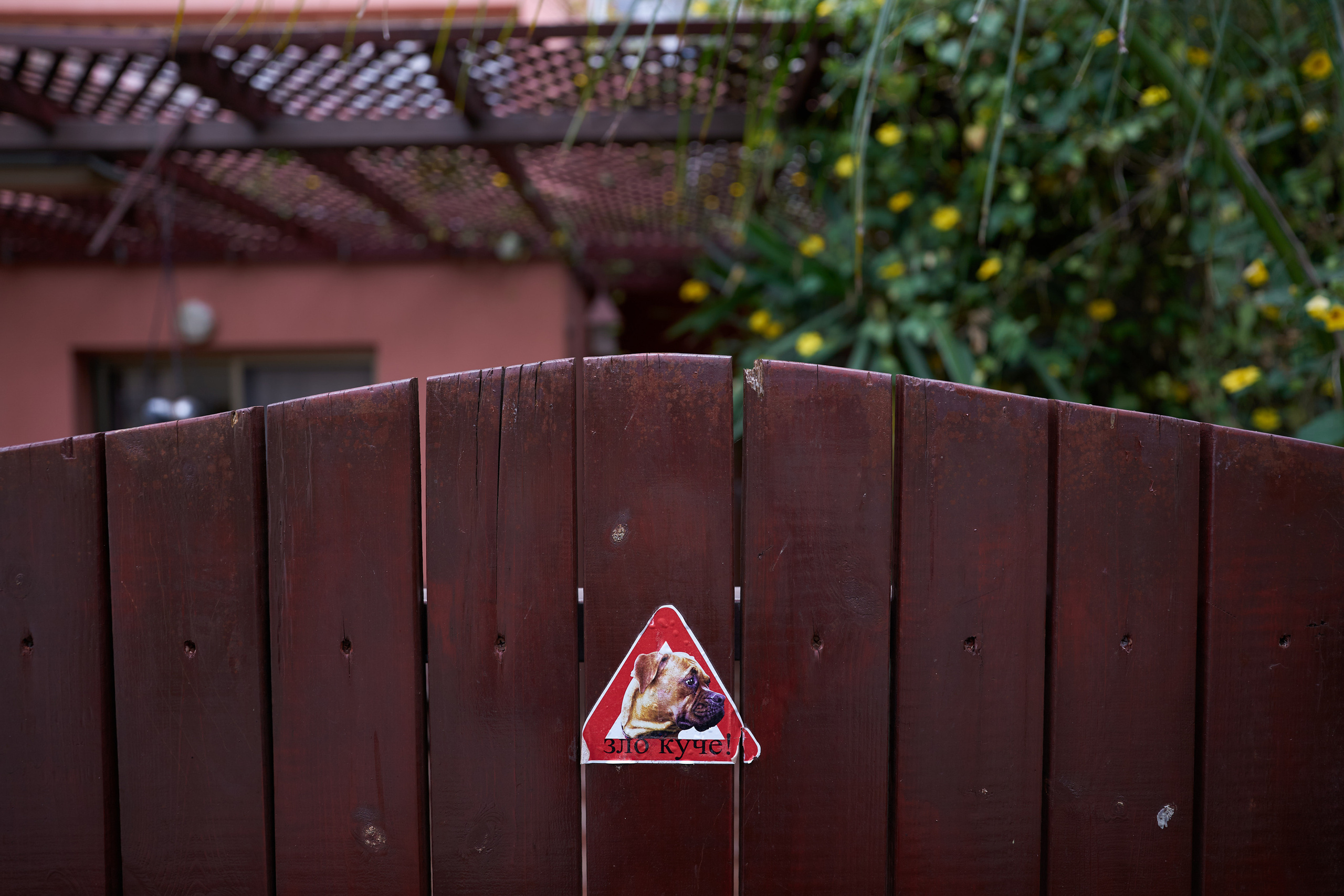 Aron, Gila and Rani Series. צלם אלכס ברט בישראל