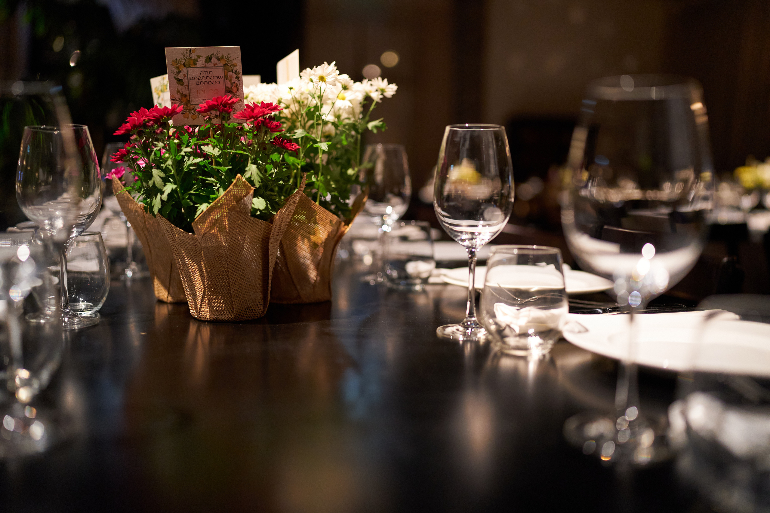 Bar&Han Series. צלם אלכס ברט בישראל