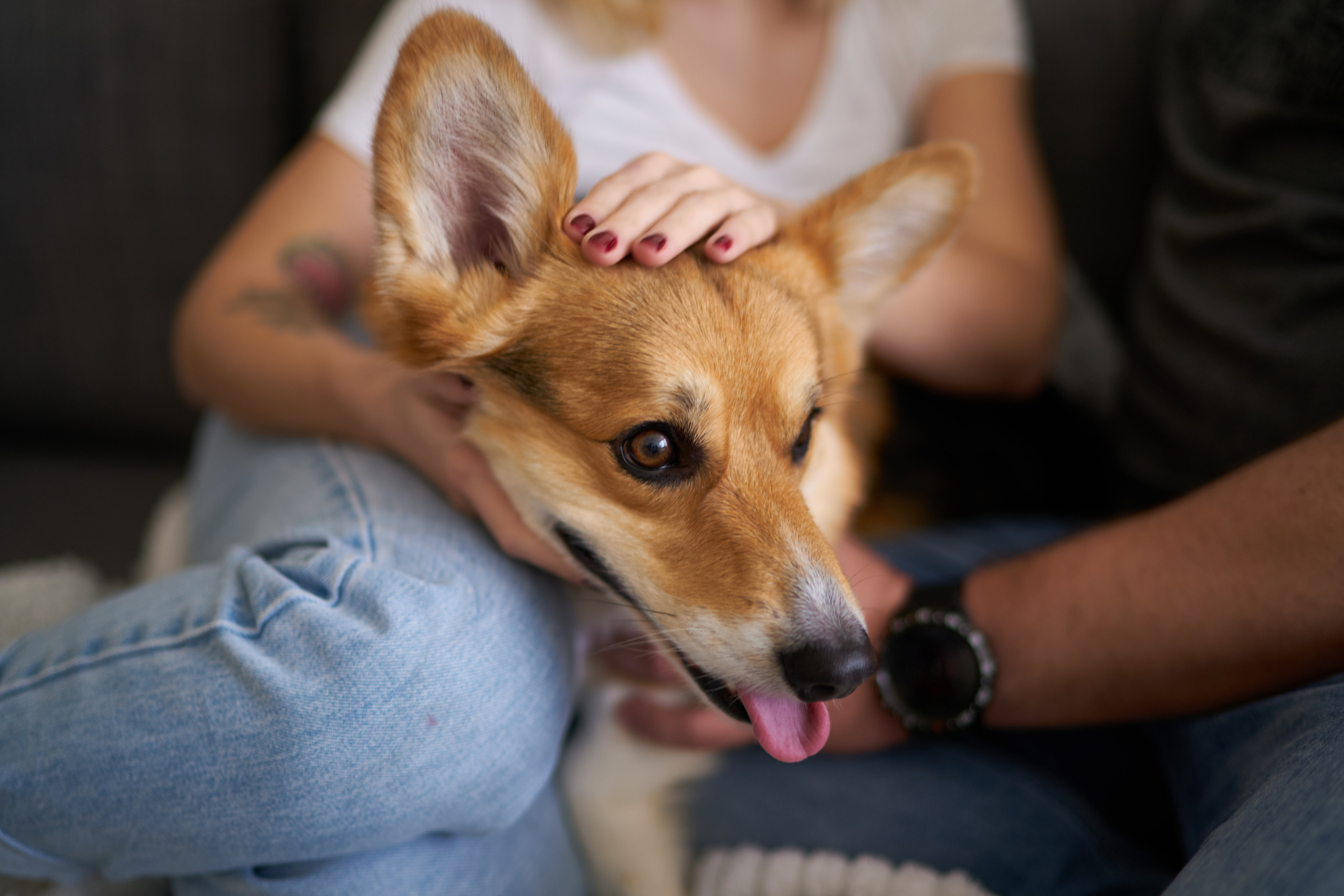 Julia&Valeriy Home Photo Shoot Series. צלם אלכס ברט בישראל