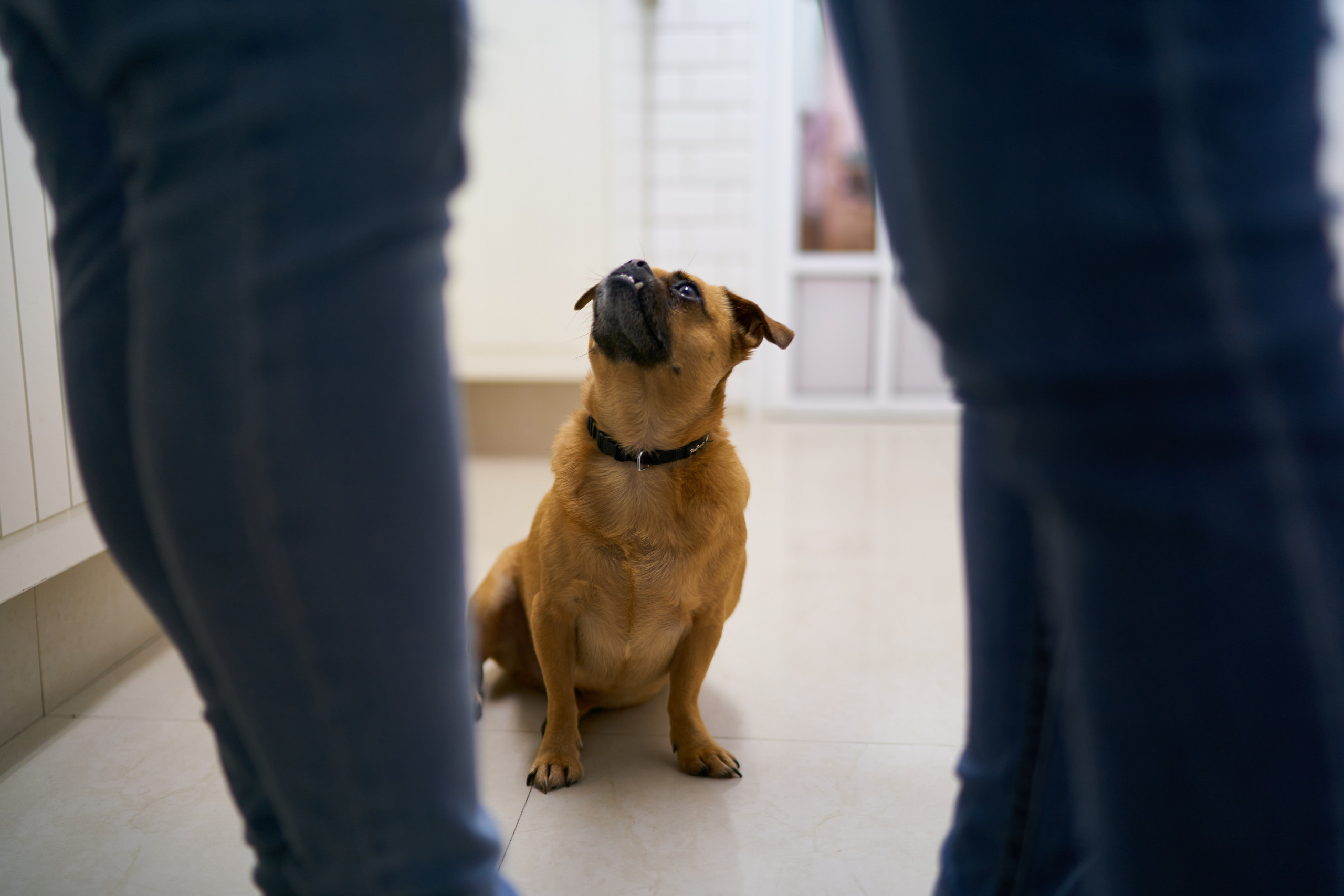 Aron, Gila and Rani Series. צלם אלכס ברט בישראל