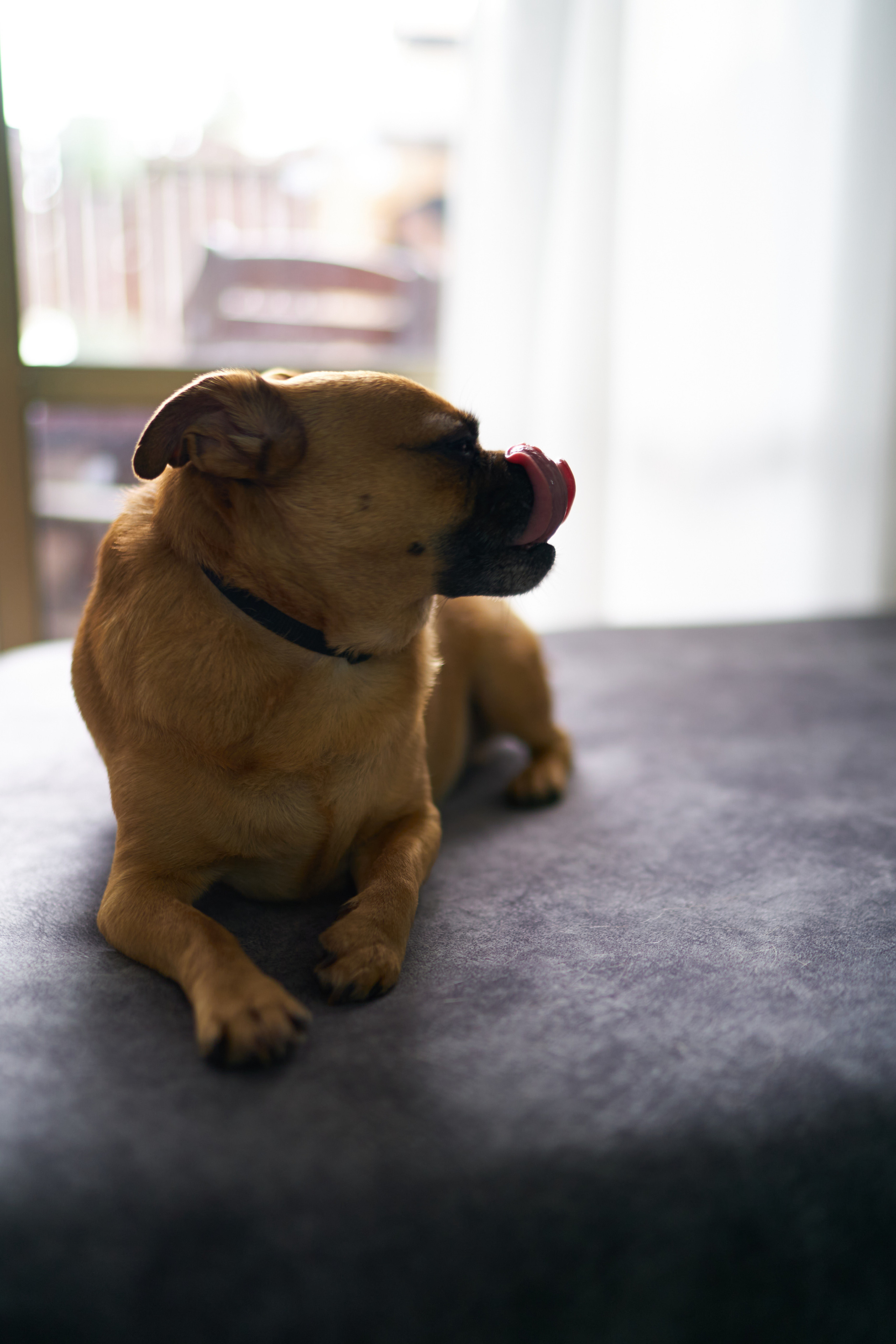 Aron, Gila and Rani Series. צלם אלכס ברט בישראל