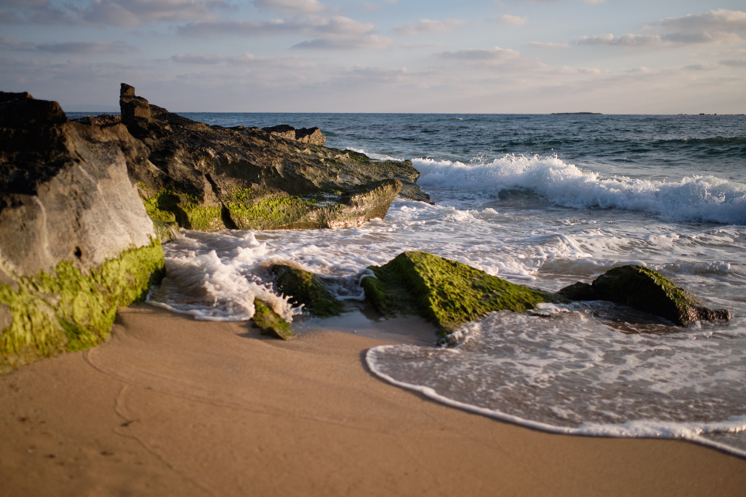 Itai Bar Mitzvah Series. צלם אלכס ברט בישראל