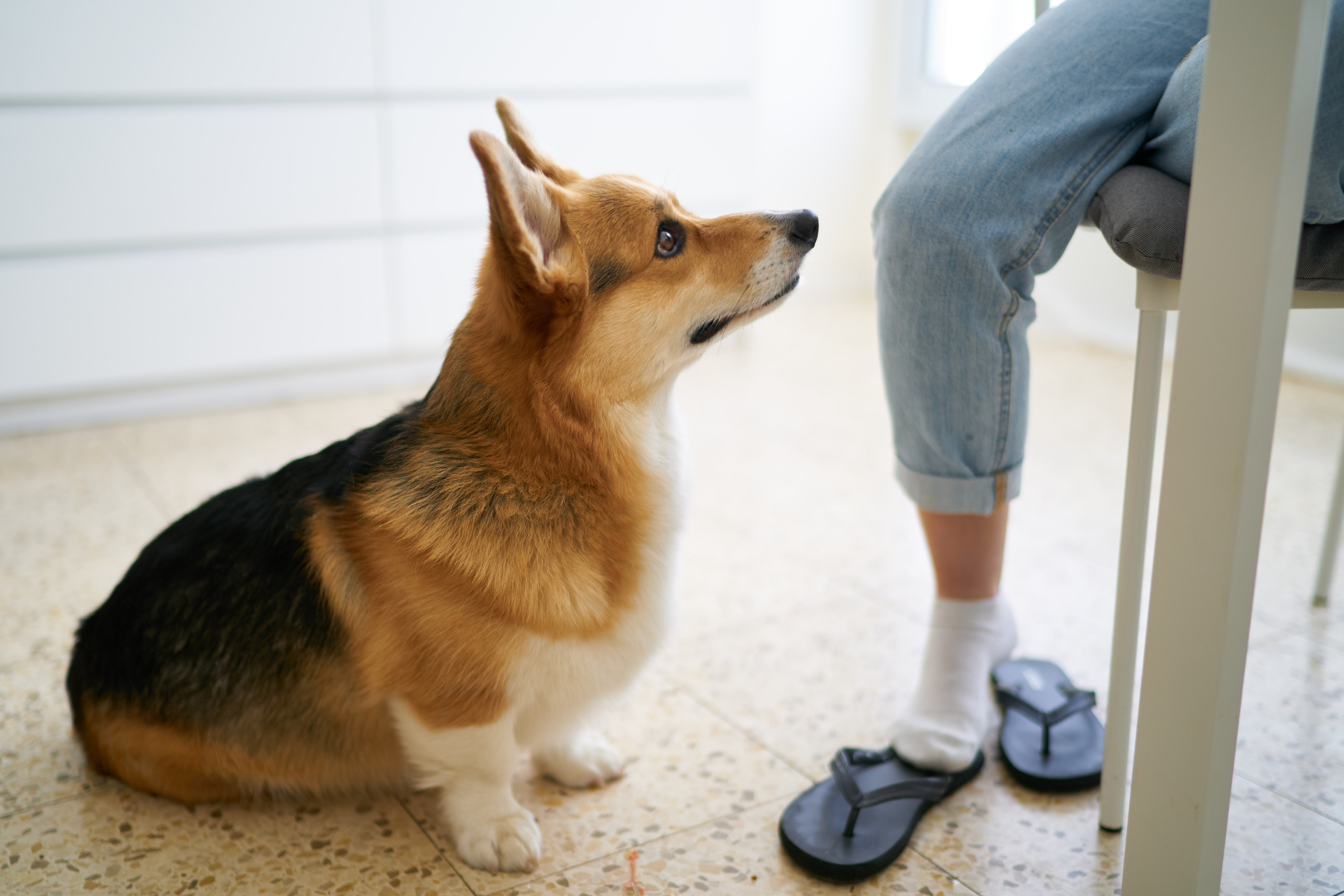 Julia&Valeriy Home Photo Shoot Series. צלם אלכס ברט בישראל