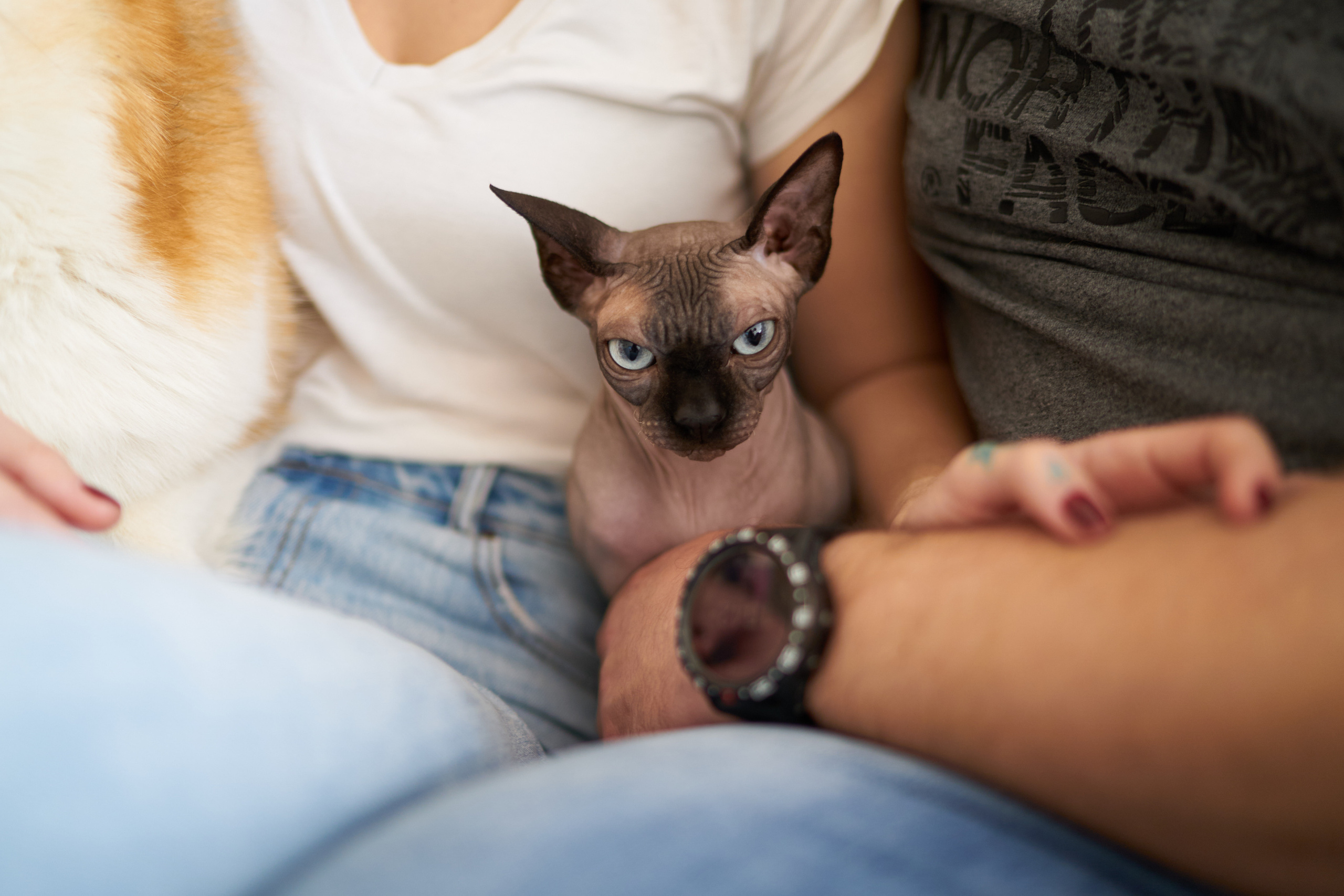 Julia&Valeriy Home Photo Shoot Series. צלם אלכס ברט בישראל