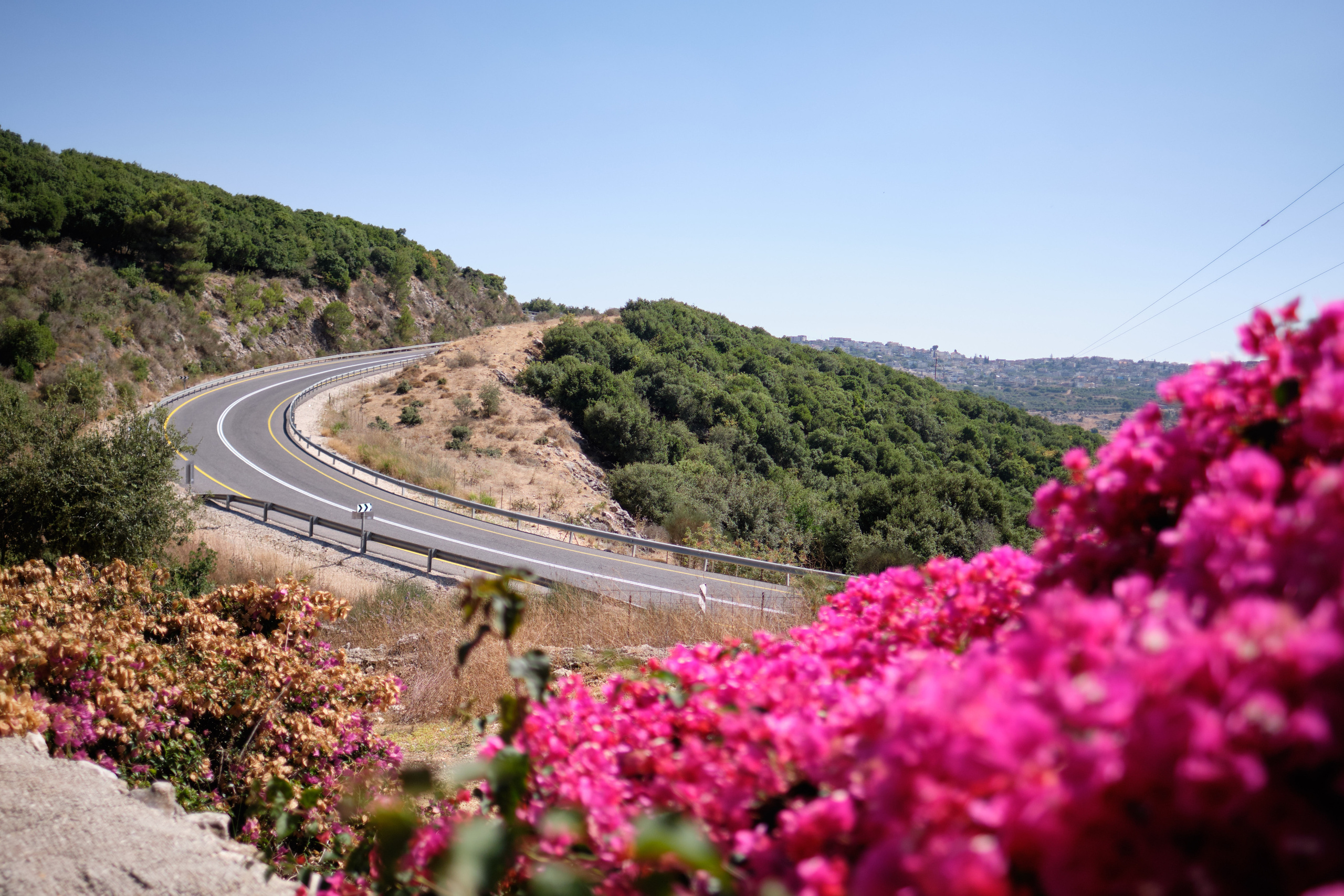 Itai Bar Mitzvah Series. צלם אלכס ברט בישראל