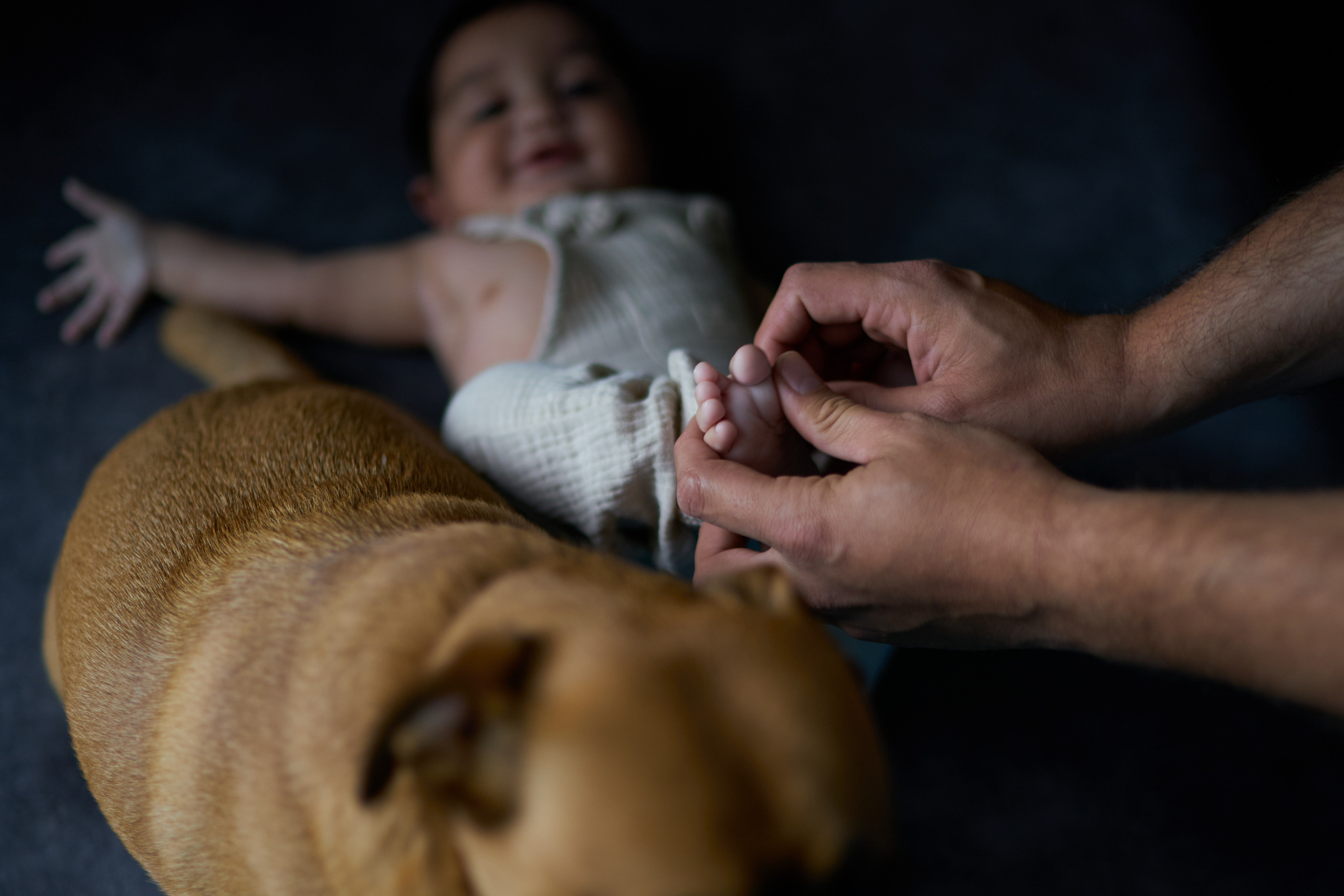 Aron, Gila and Rani Series. צלם אלכס ברט בישראל