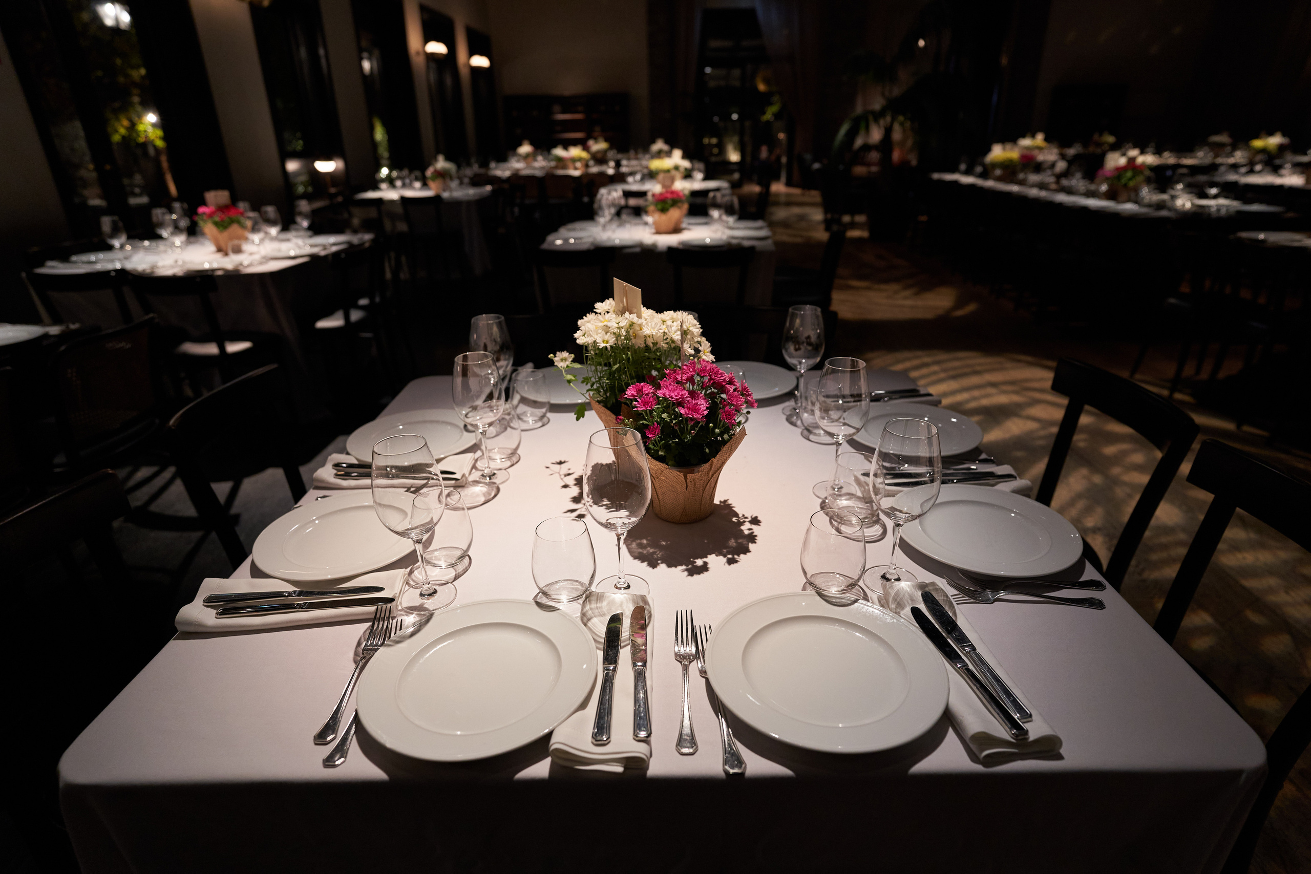 Bar&Han Series. צלם אלכס ברט בישראל