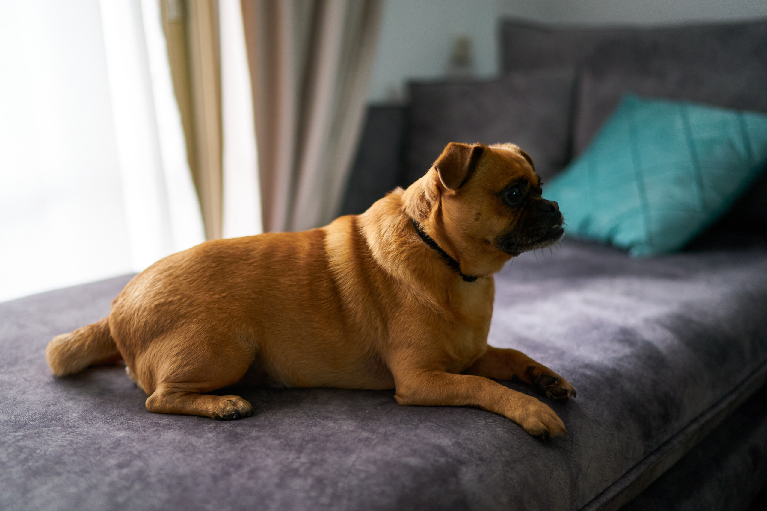 Aron, Gila and Rani Series. צלם אלכס ברט בישראל