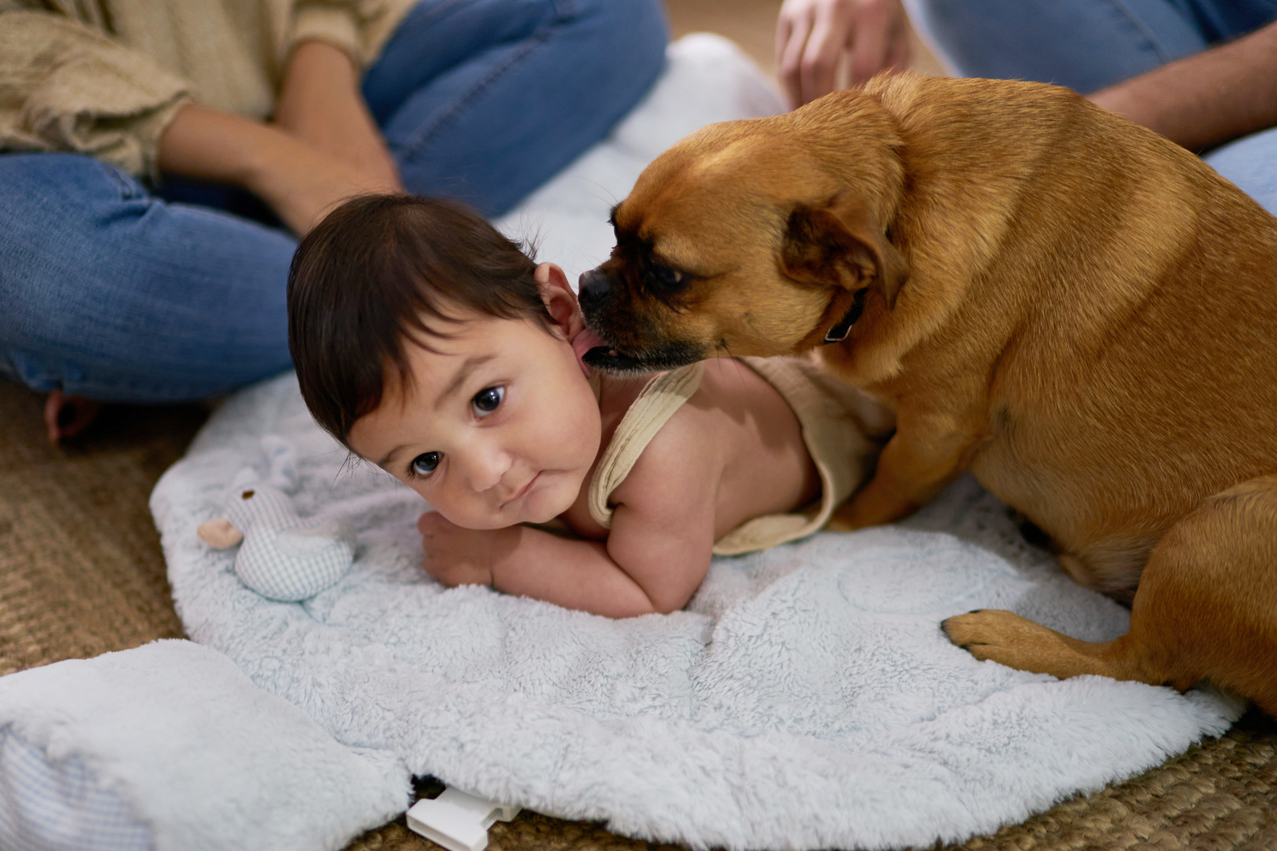 Aron, Gila and Rani Series. צלם אלכס ברט בישראל