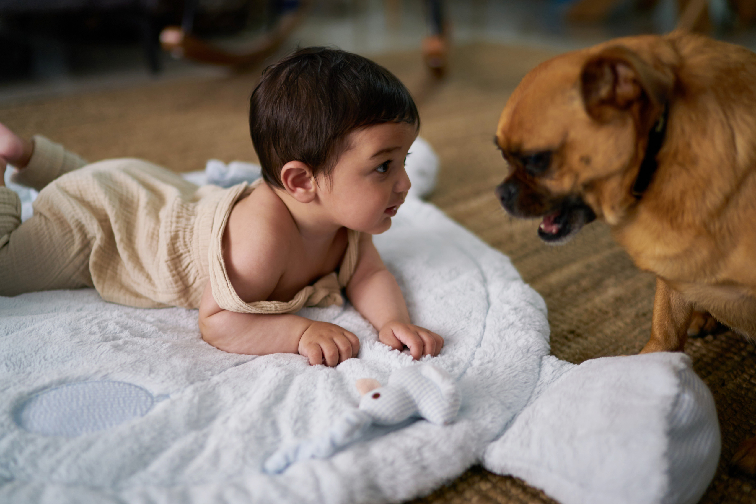 Aron, Gila and Rani Series. צלם אלכס ברט בישראל