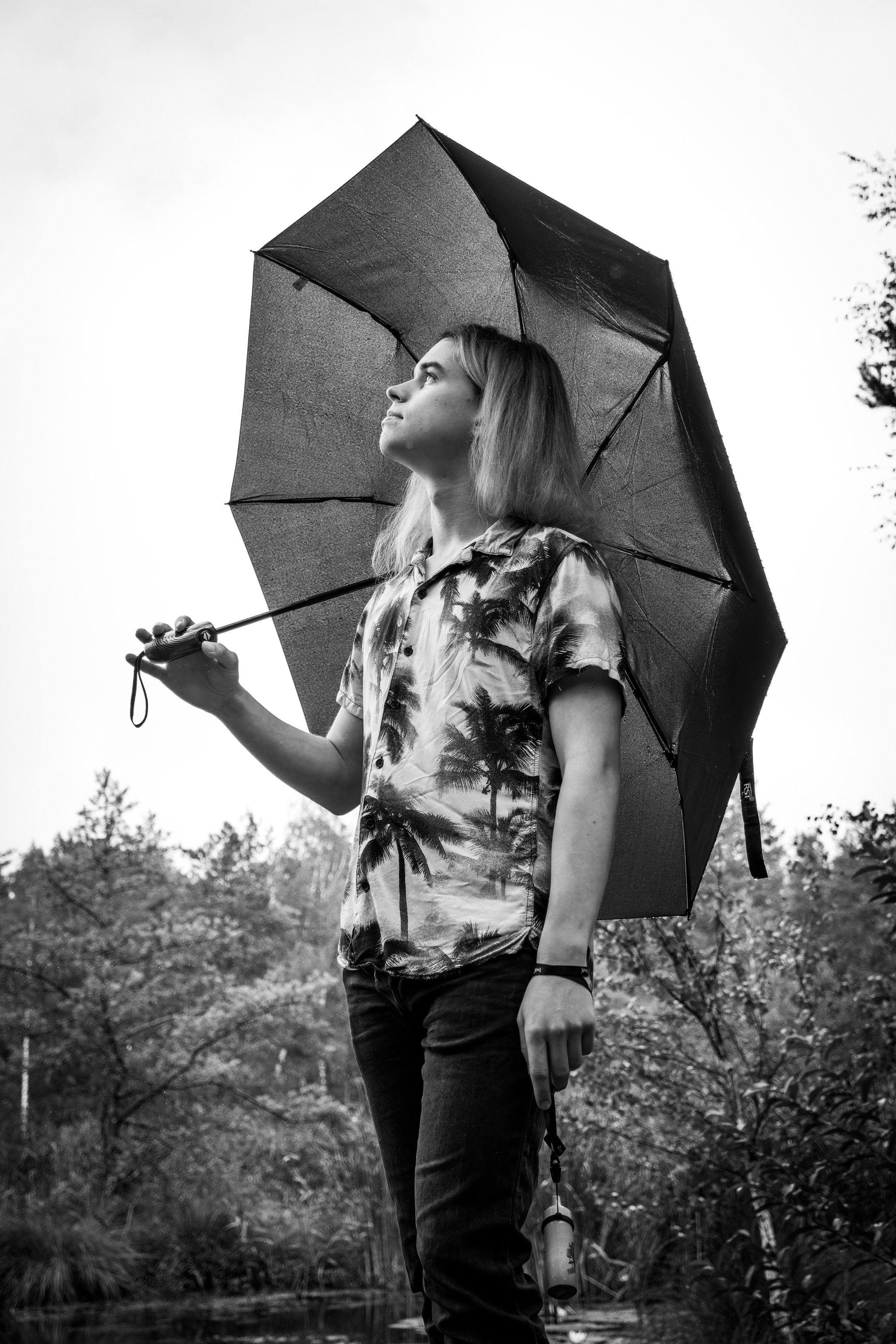 Mets, vihm ja jahedus (Dimitry). Nebula 25 — Fotod teie hingele