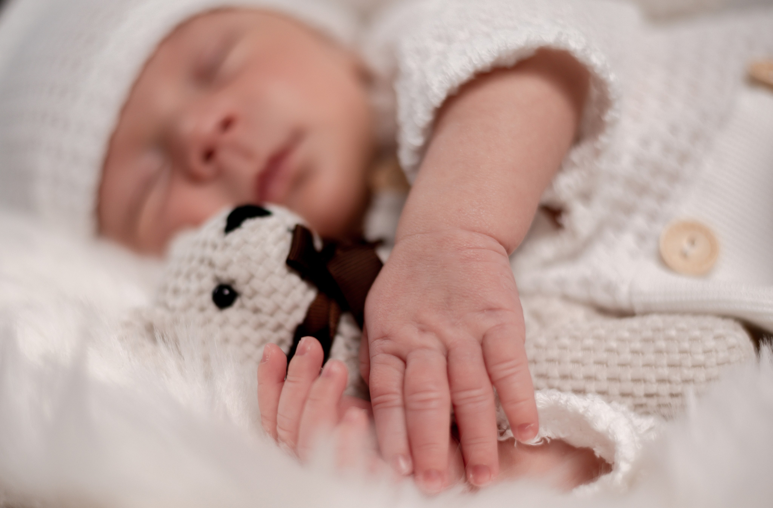 Newborn Photoshoot. Professional Photograher, Antwerpen/Belgium