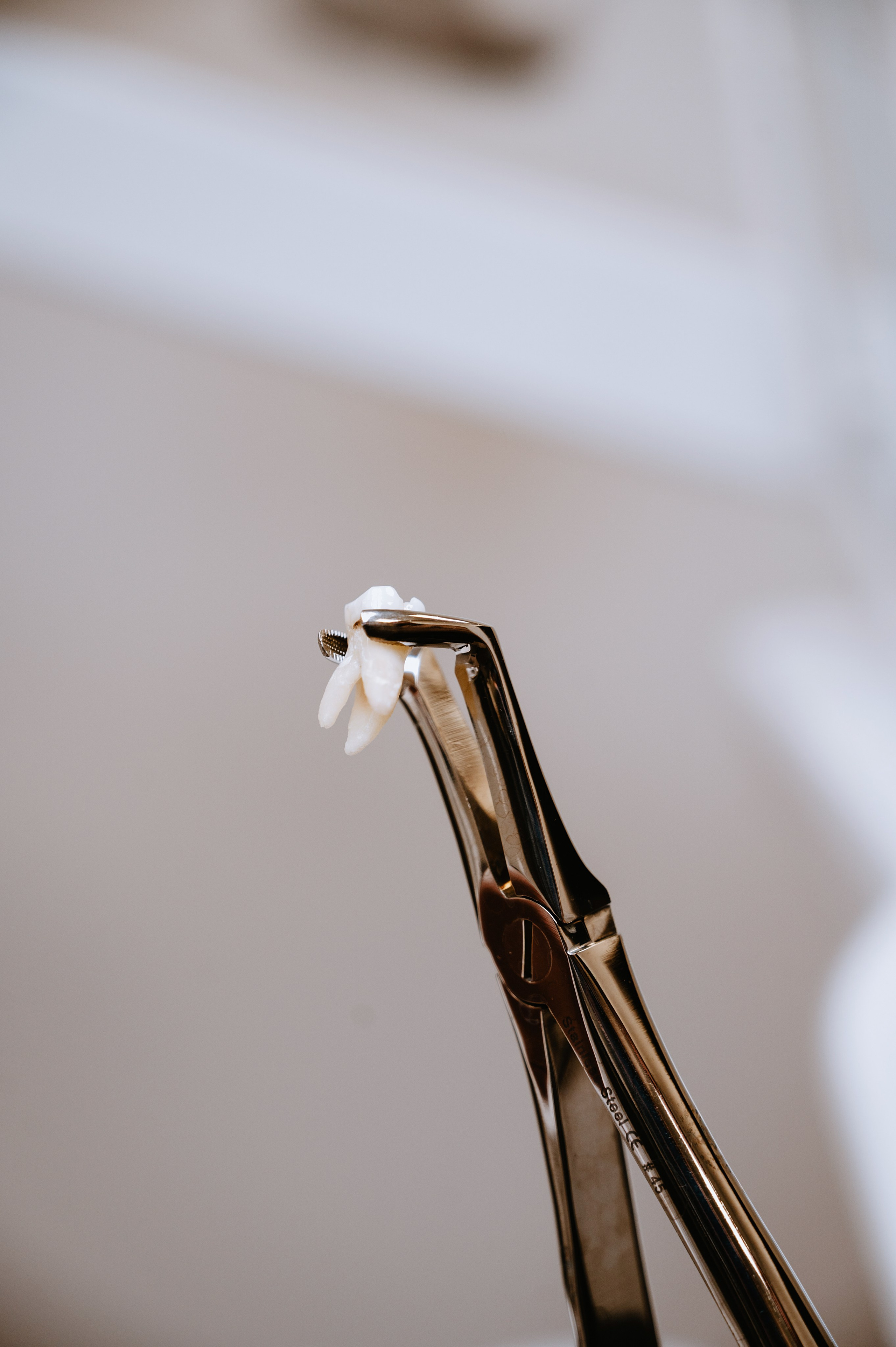 EDClinic dentistry in Prague. ANNA-MARIA PHOTO CONTENT CREATOR — фотограф, эстет, художник и визуальный эксперт в Instagram, работающий в Праге