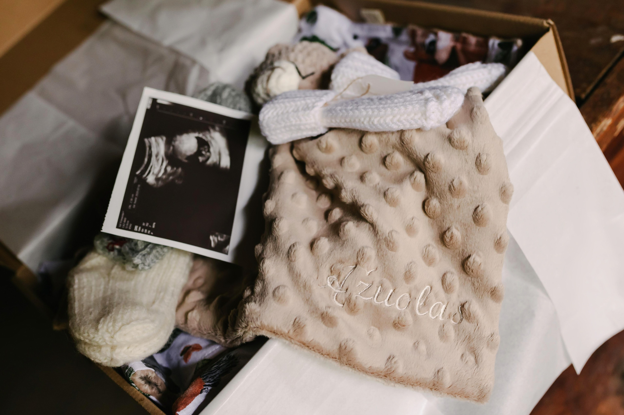 Aidos nėščioji fotosesija. Rokas Baranauskas fotografija