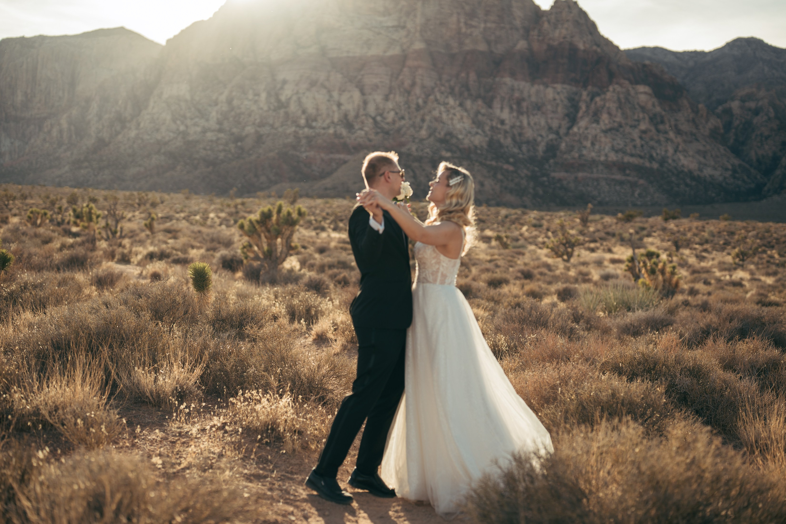 Yrina&Miroslav. Wedding & elopement photographer Viktoriya Kravtsov. Las Vegas