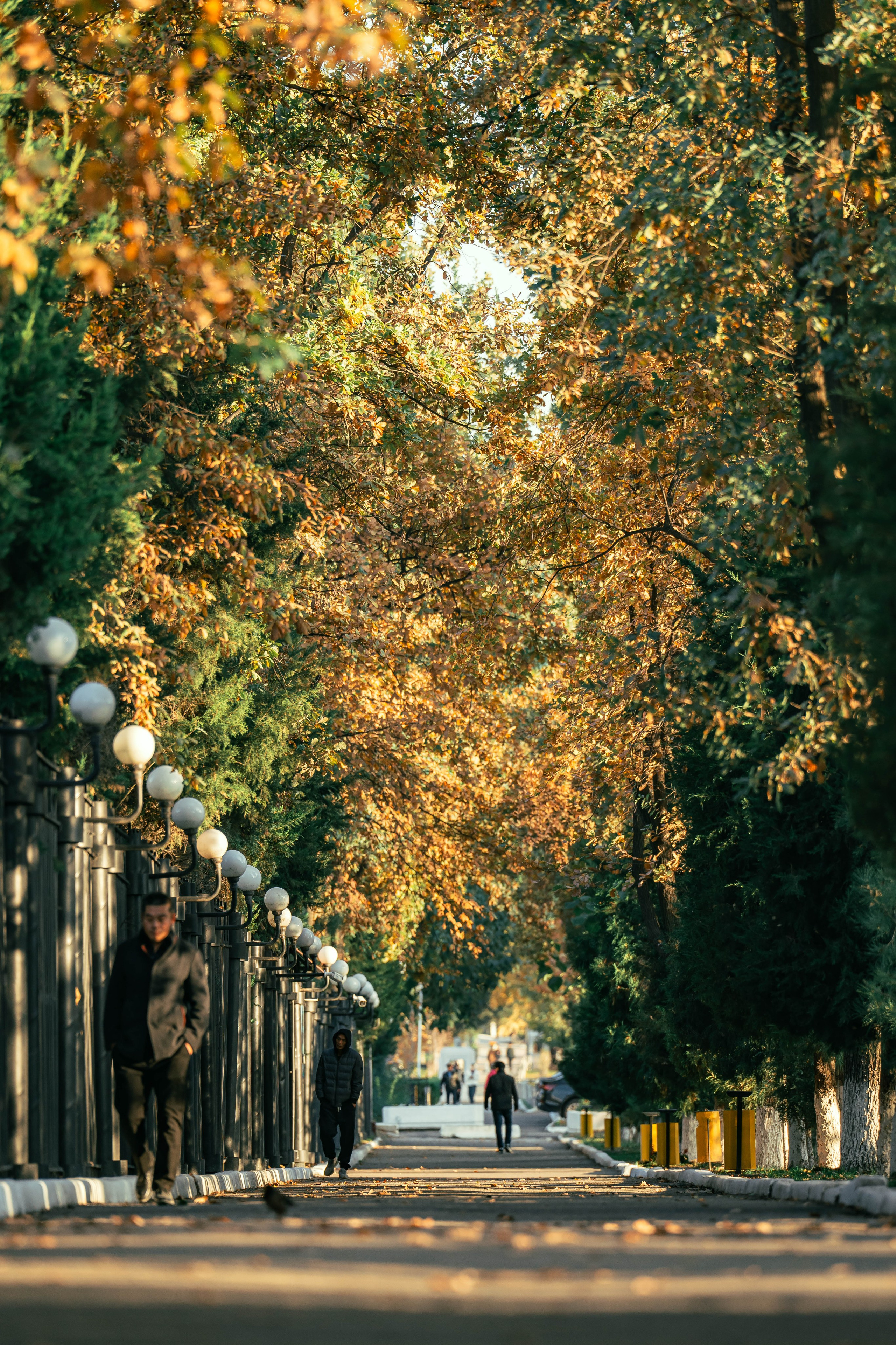 Ташкентская осень. Георгий Намазов | Фотограф в Ташкенте