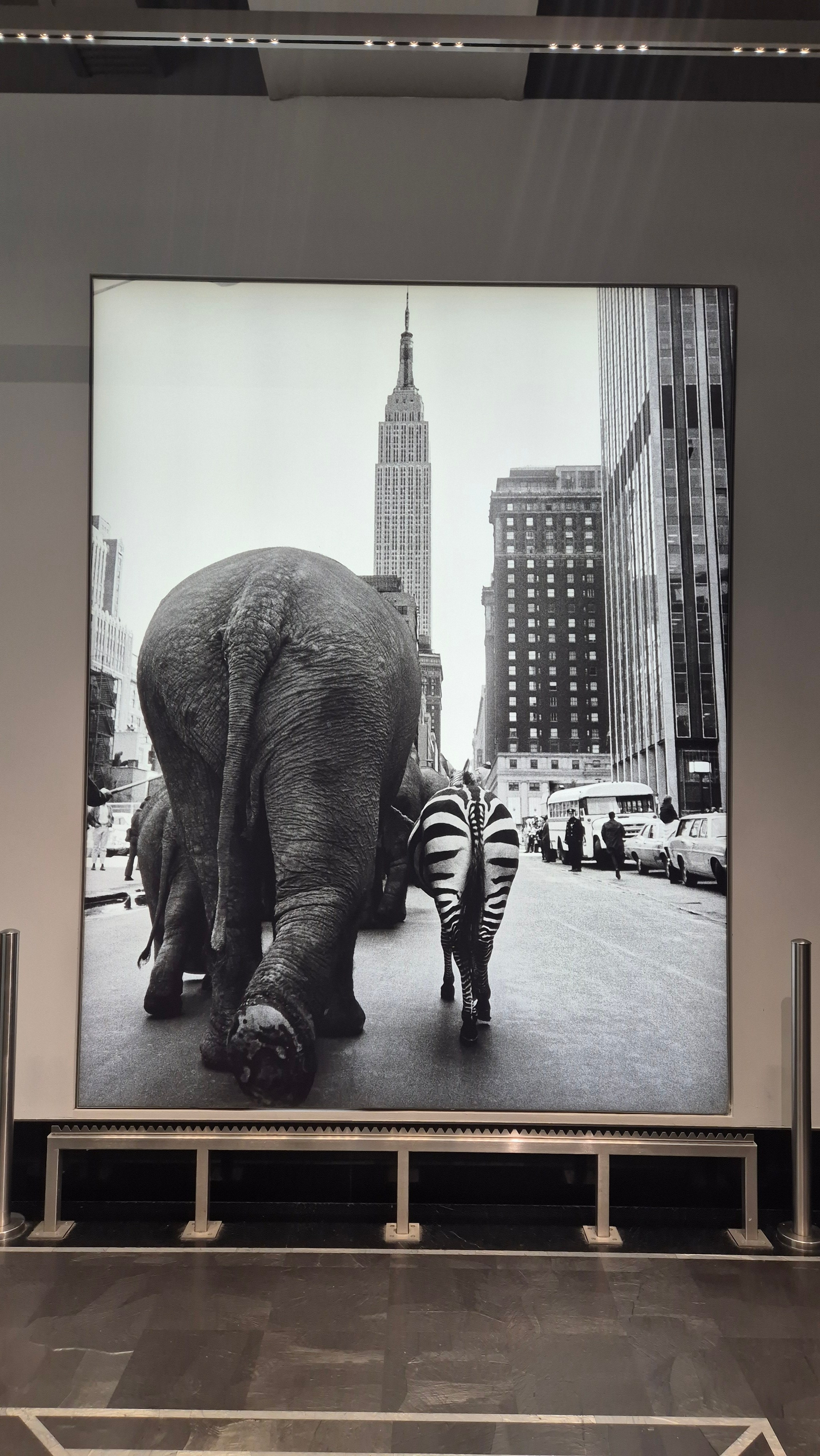 New York 2026. Photographer Marina, city of Nuremberg