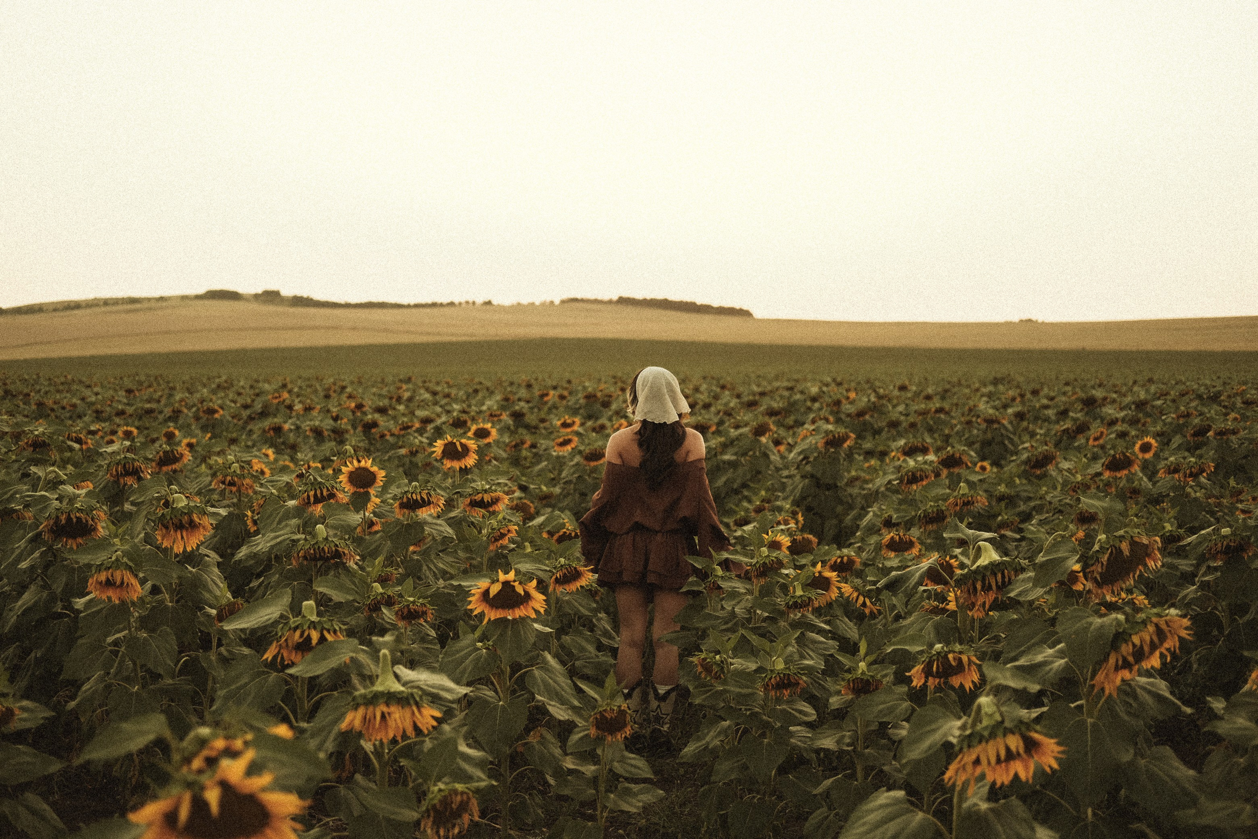 In sunflowers | Meri. Главная