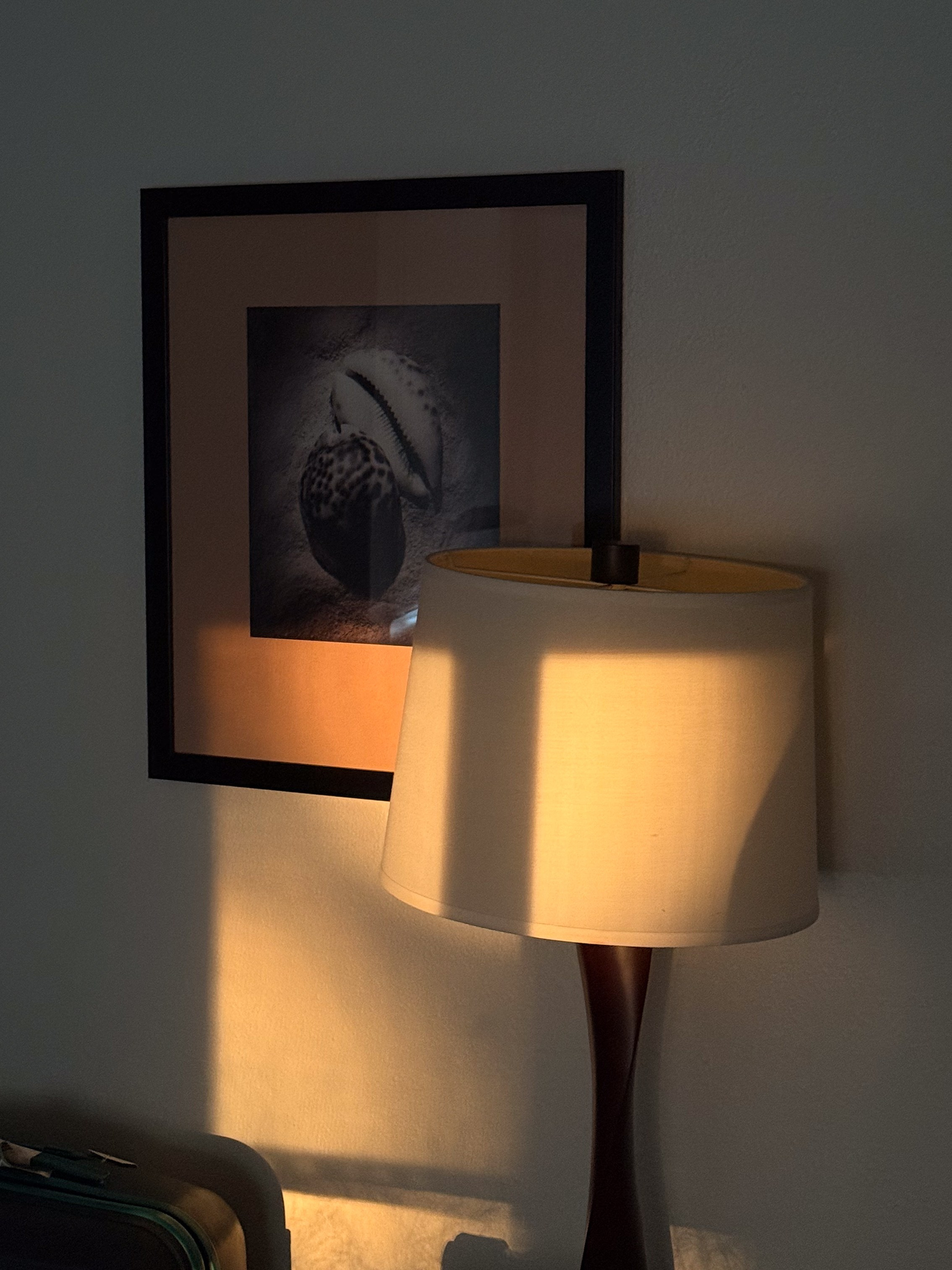 San Francisco. Aleks.photo | Book a photoshoot