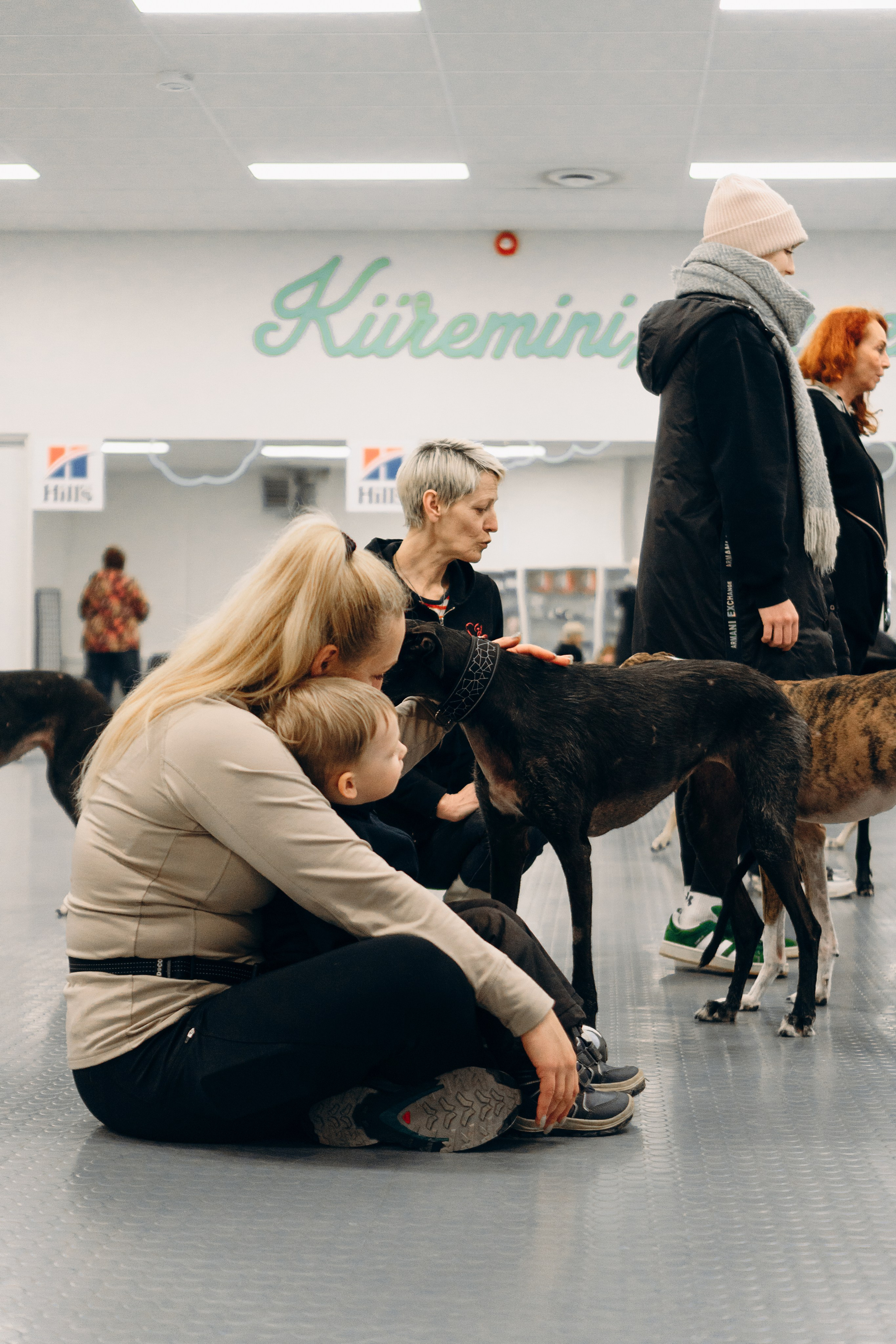 GalgoTreff / PetCity Rannamõisa, 13 apr. 2025. Kat Laisaar — Pet photographer in Tallinn