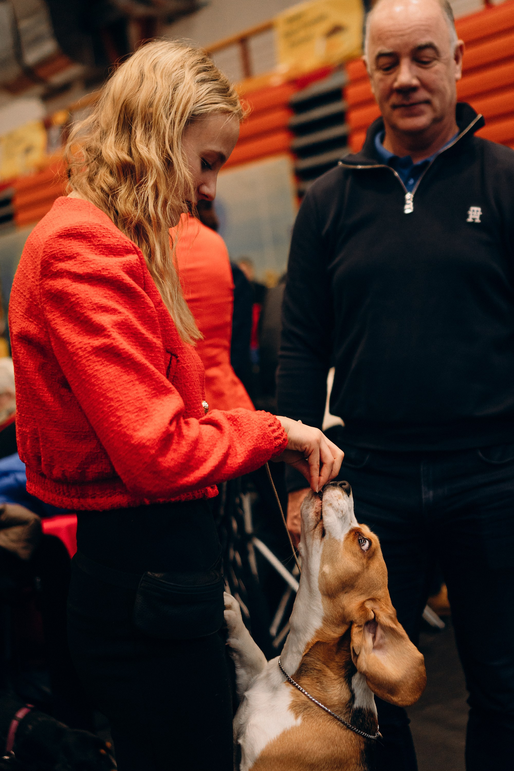 Luure & Cascada. Kat Laisaar — Pet photographer in Tallinn